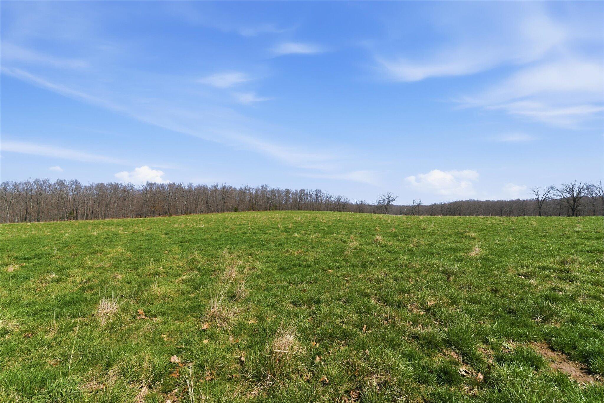 8896 State Route Zz Property Photo 73