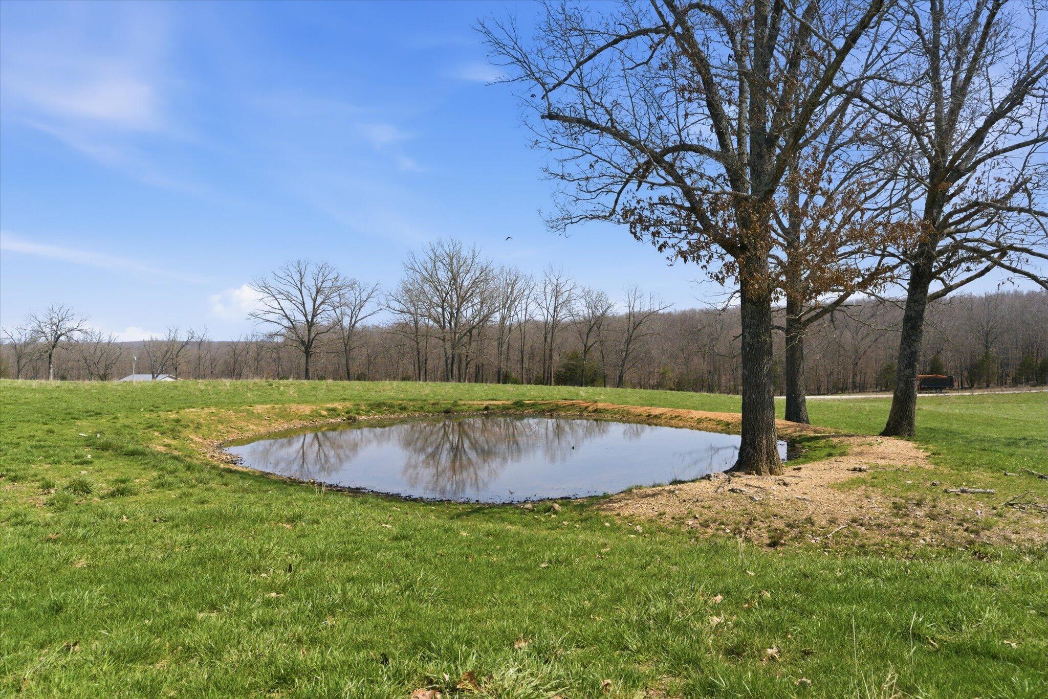 8896 State Route Zz Property Photo 74