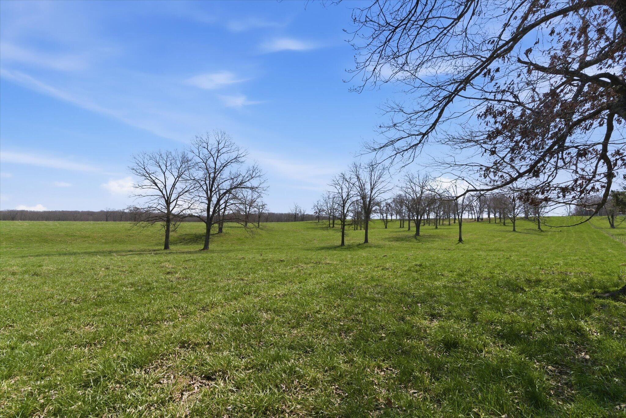 8896 State Route Zz Property Photo 75