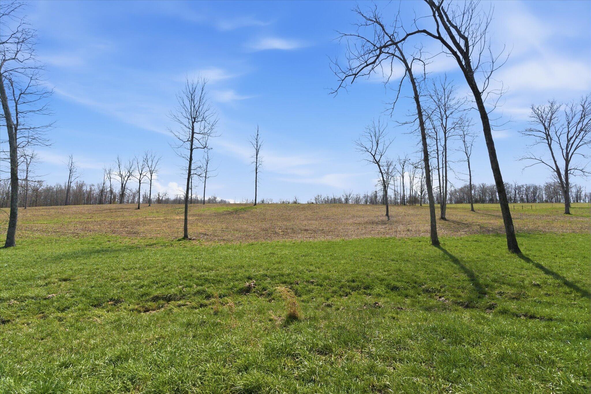 8896 State Route Zz Property Photo 76