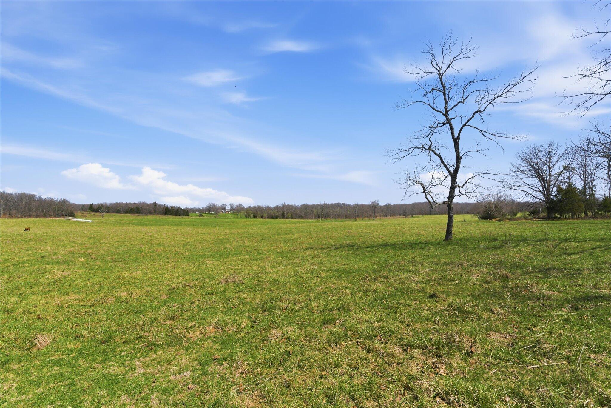 8896 State Route Zz Property Photo 77