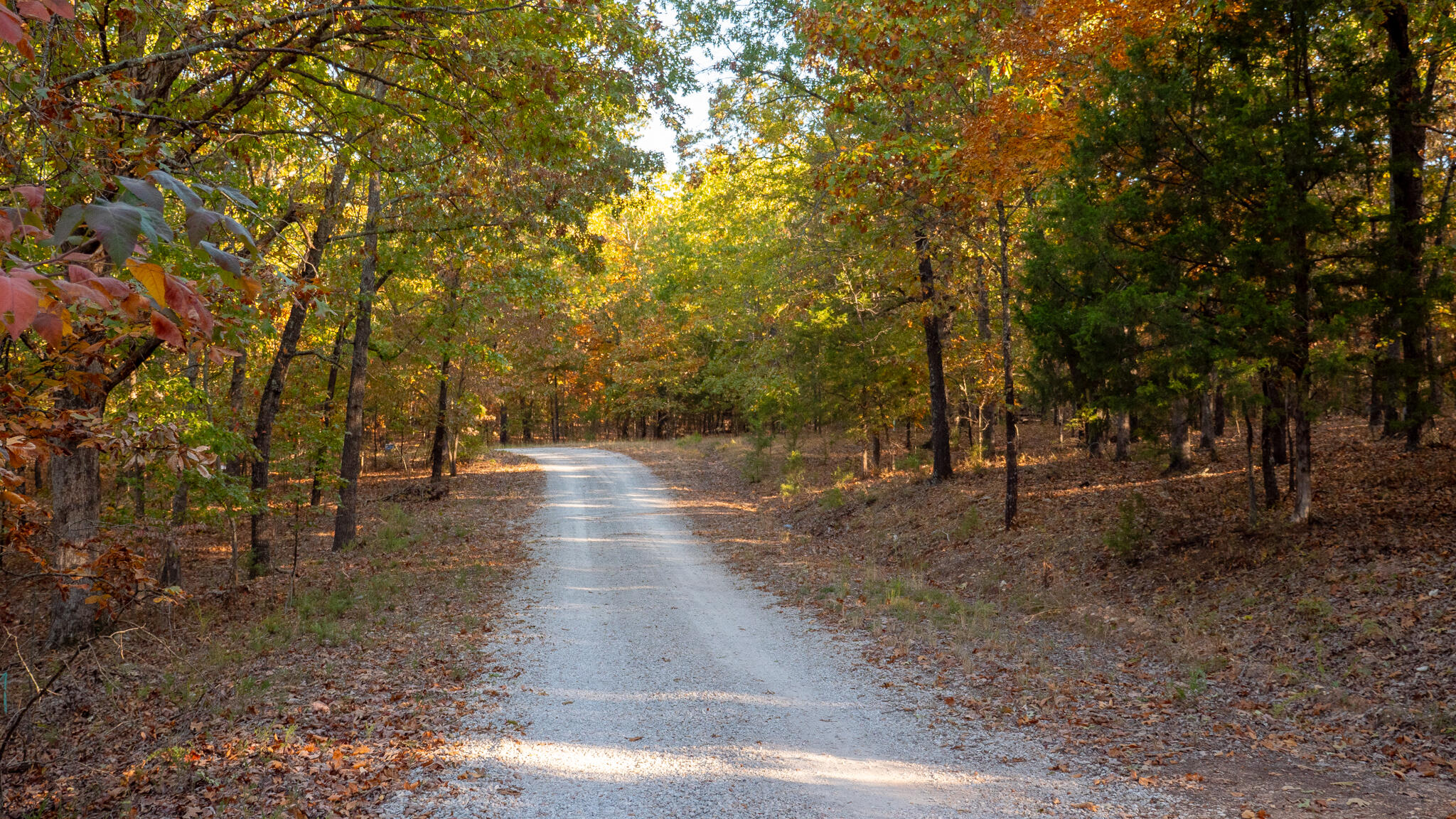 000 Shoal Creek Drive Lot 1 Property Photo 57