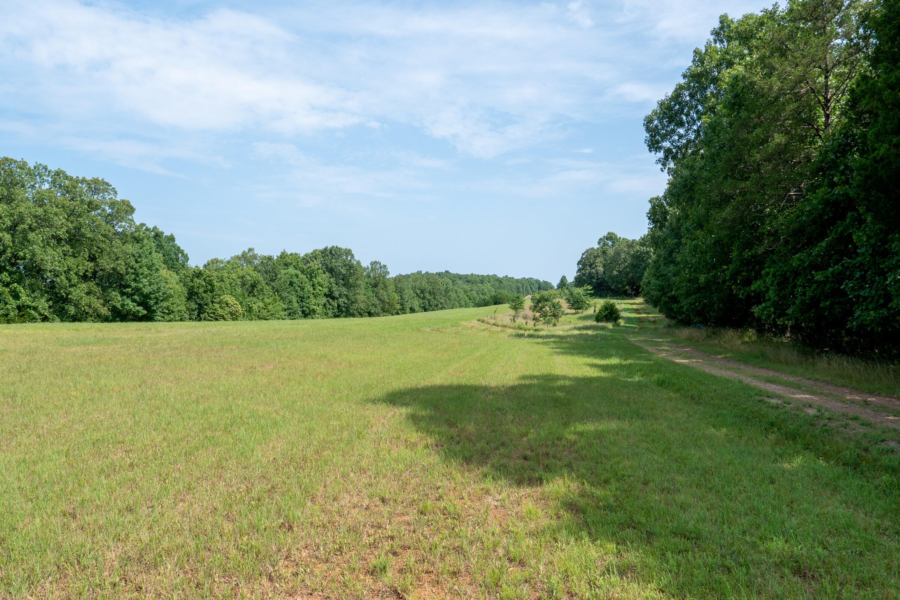 000 Shore Cove Lot # 6 Property Photo 9