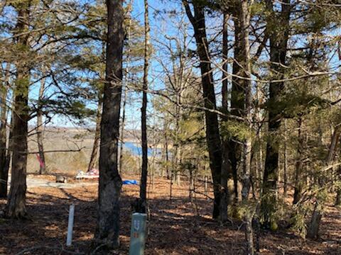 000 Shore Cove Lot # 6 Property Photo 17
