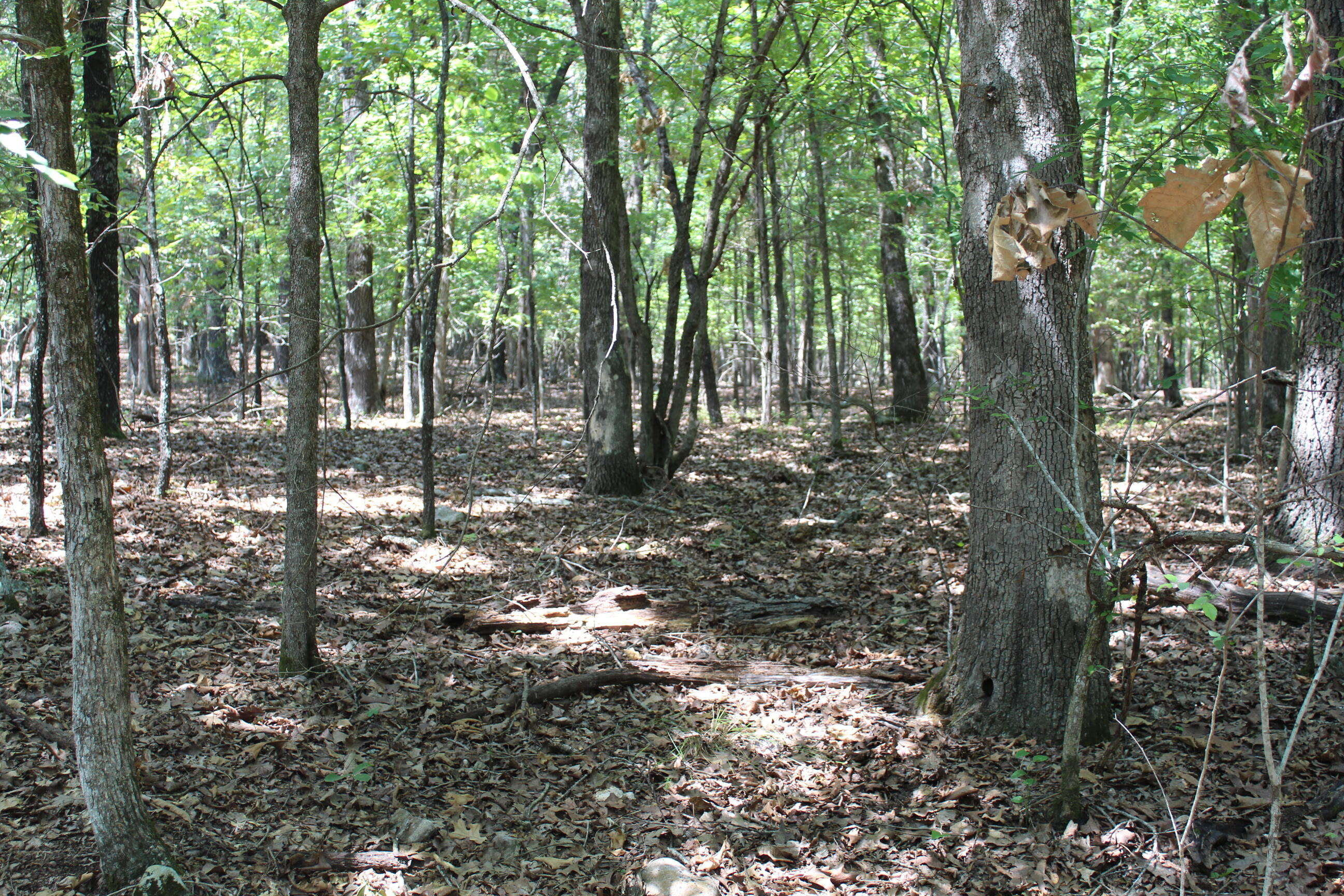 000 Lakeview Drive Lot # 37 Property Photo 17
