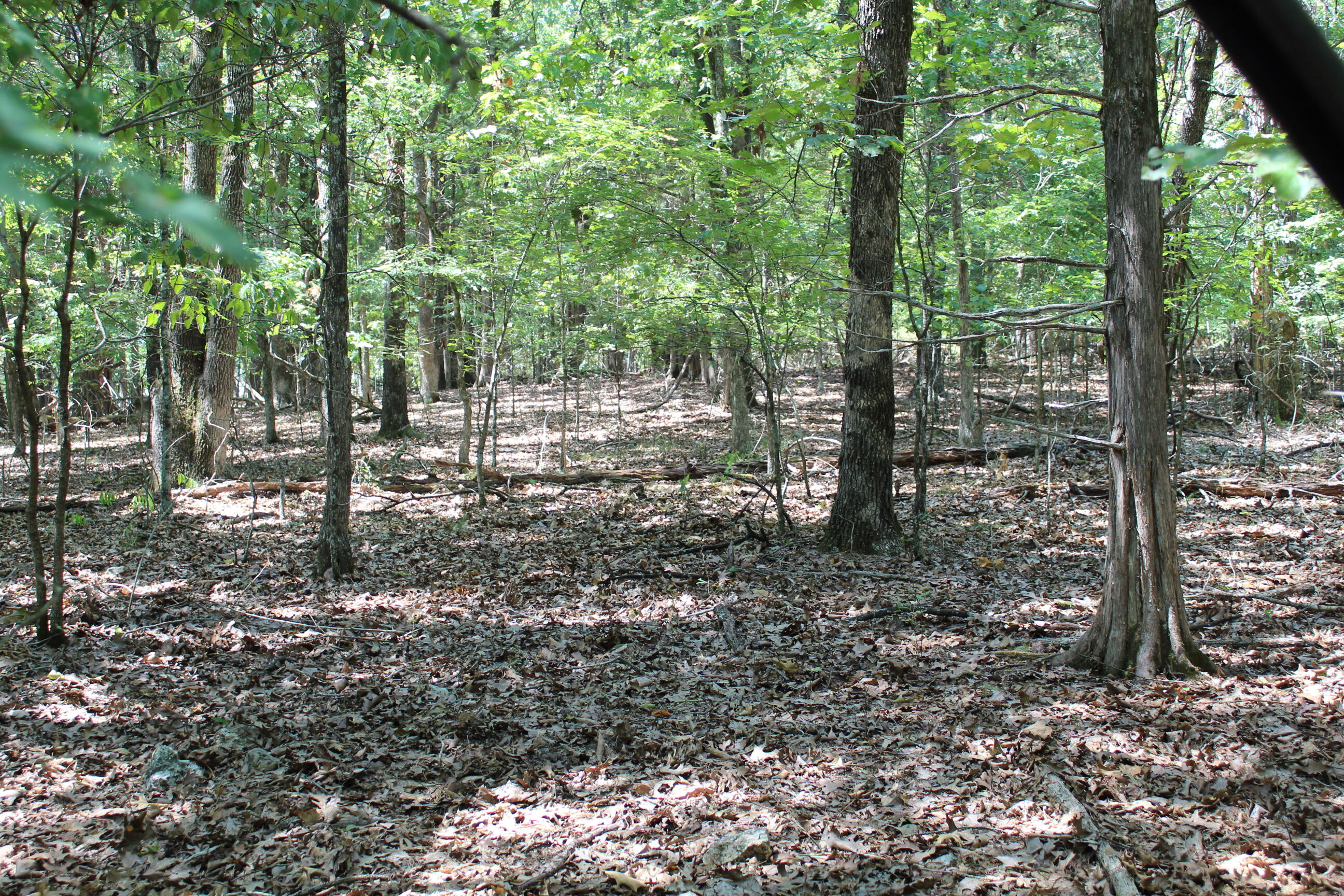 000 Lakeview Drive Lot # 37 Property Photo 18