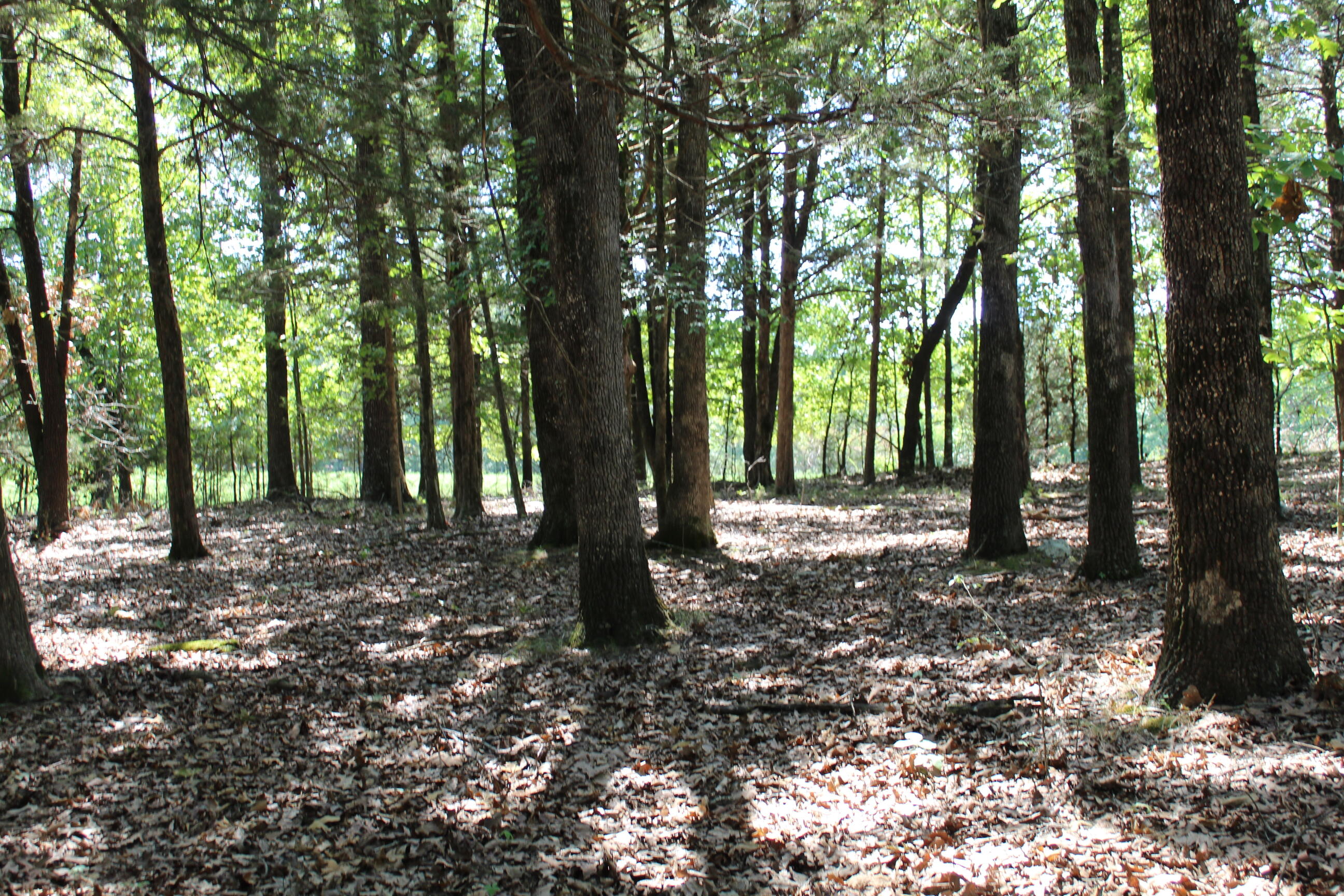 000 Lakeview Drive Lot # 37 Property Photo 19