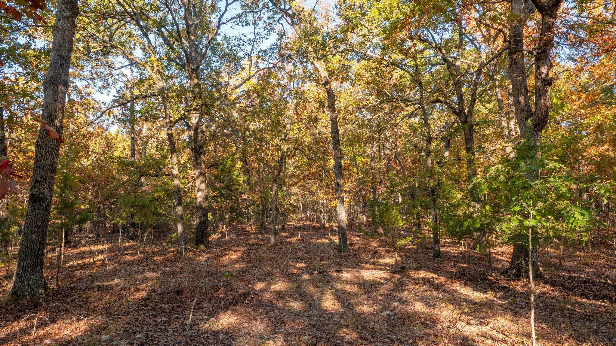 000 Lakeview Drive Lot # 37 Property Photo 54