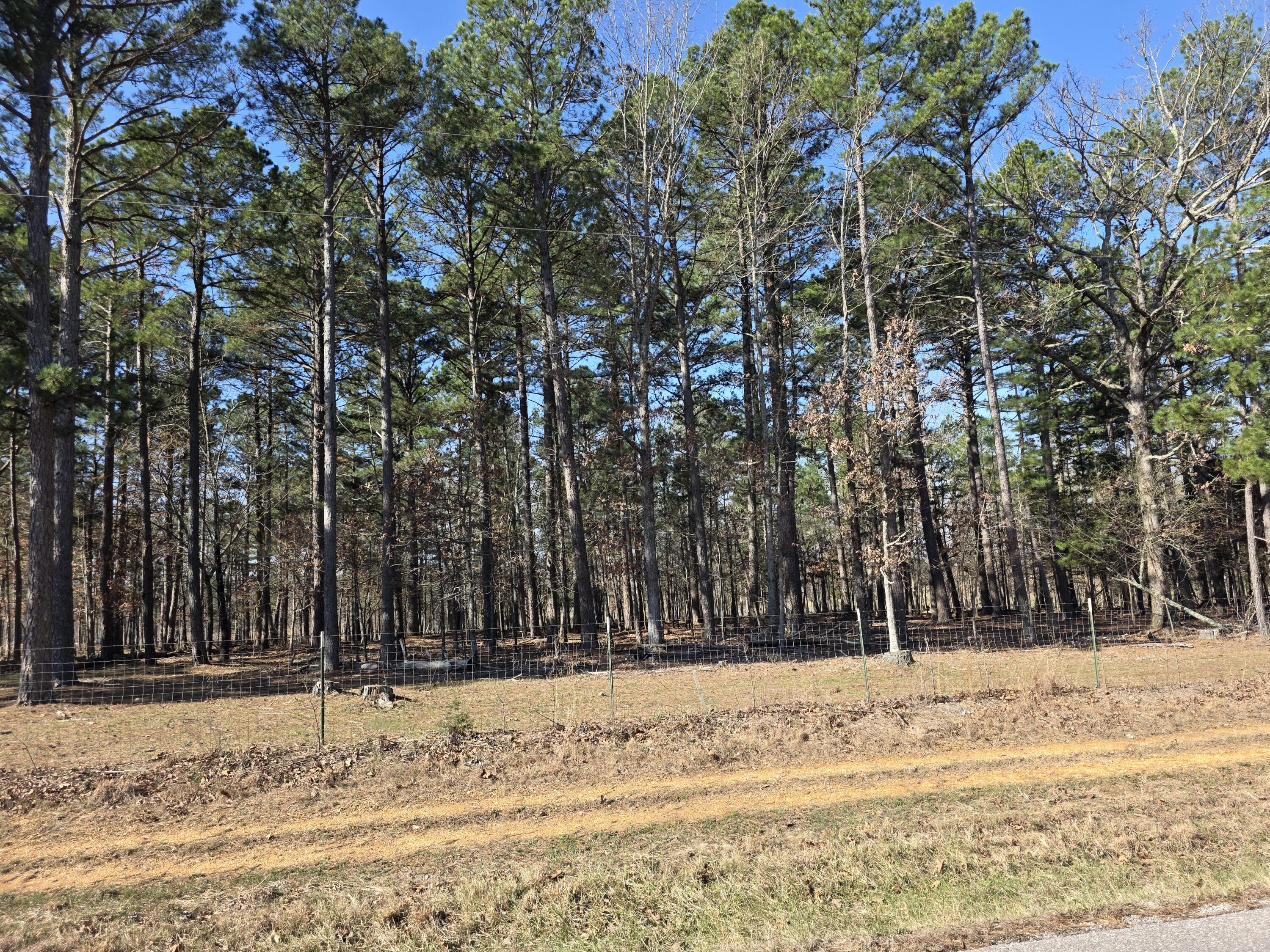 17160 State Route Bb Property Photo 33