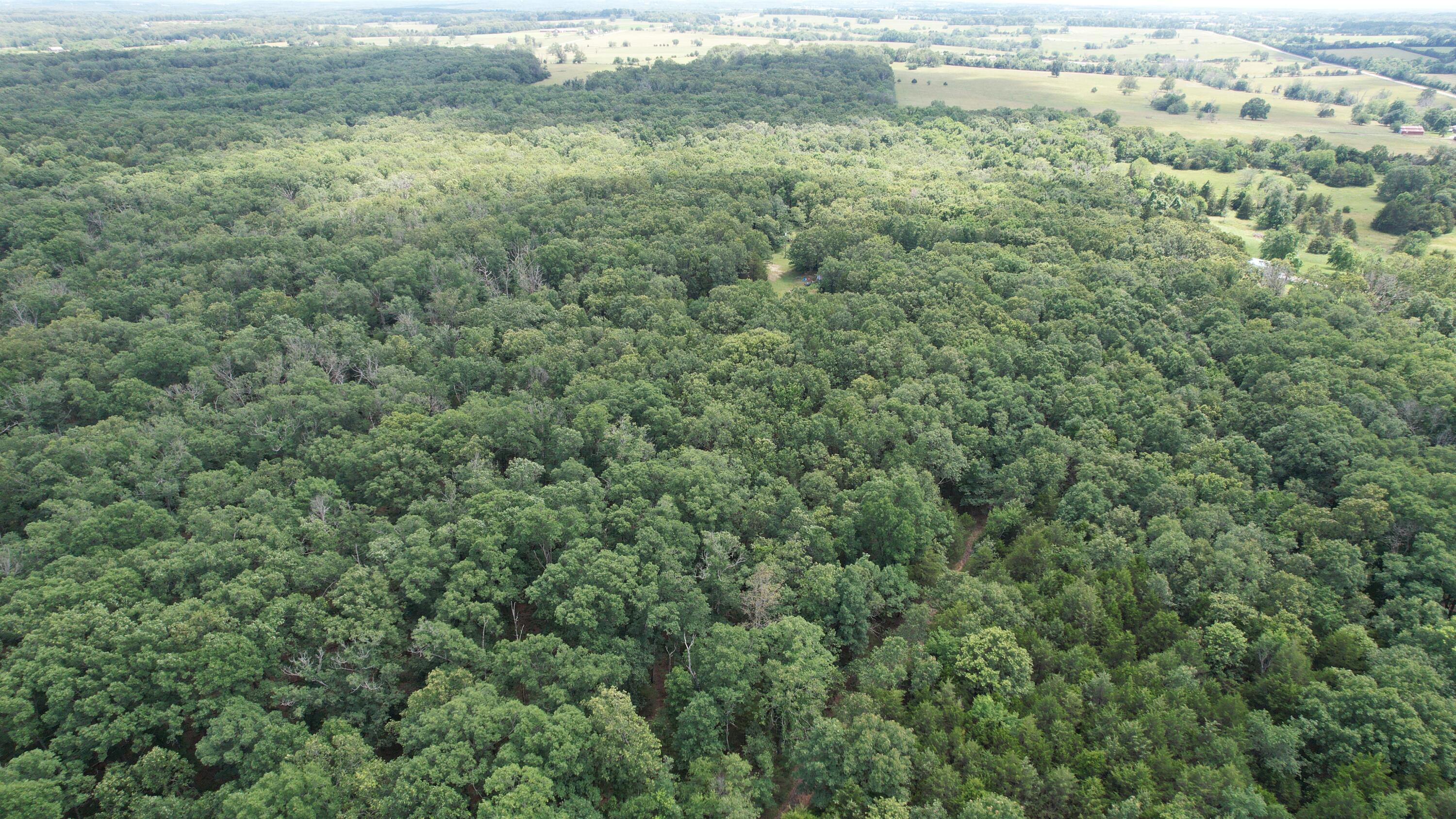 1 State Highway 38 Property Photo 6