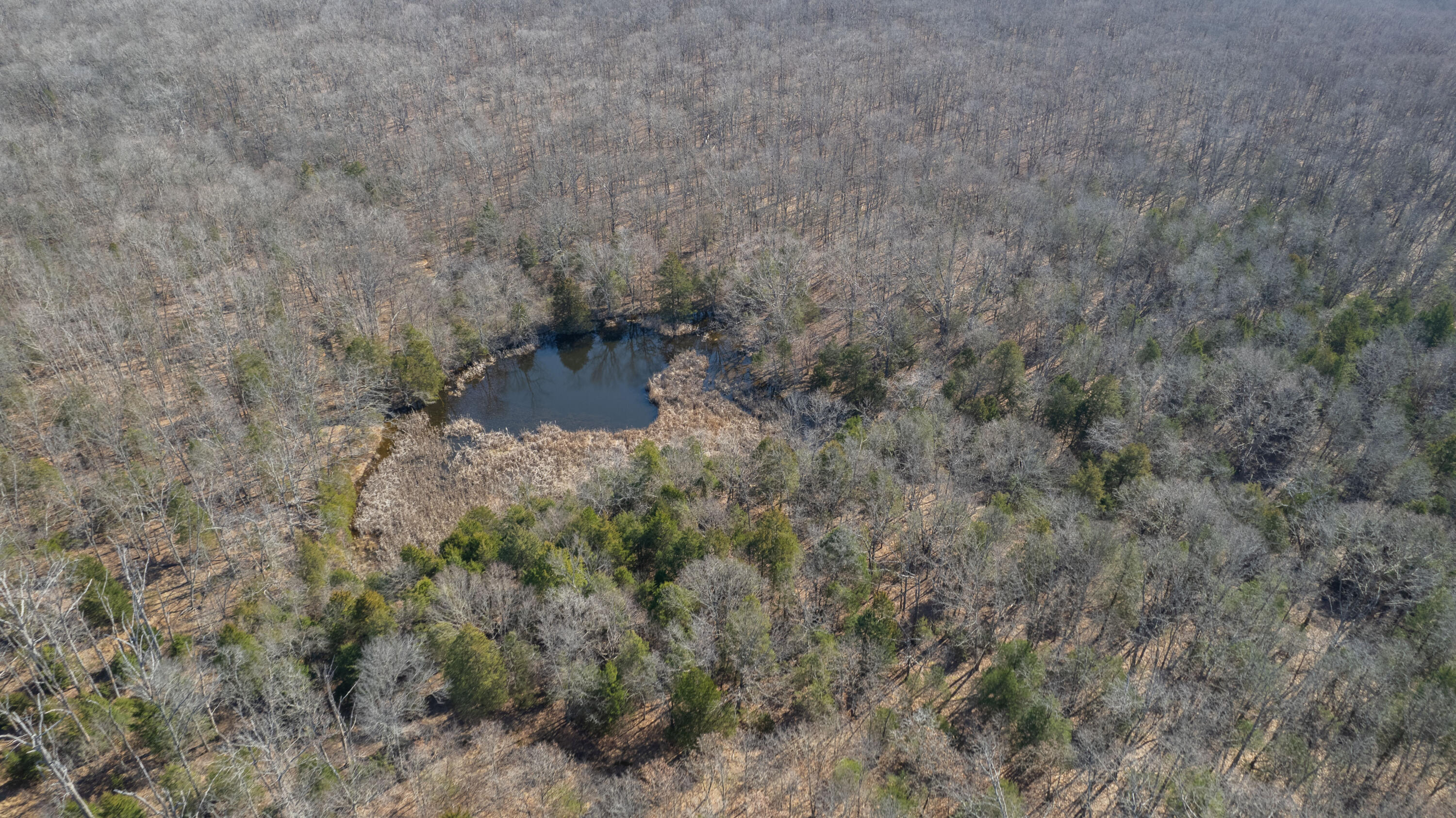 1 State Highway 38 Property Photo 8