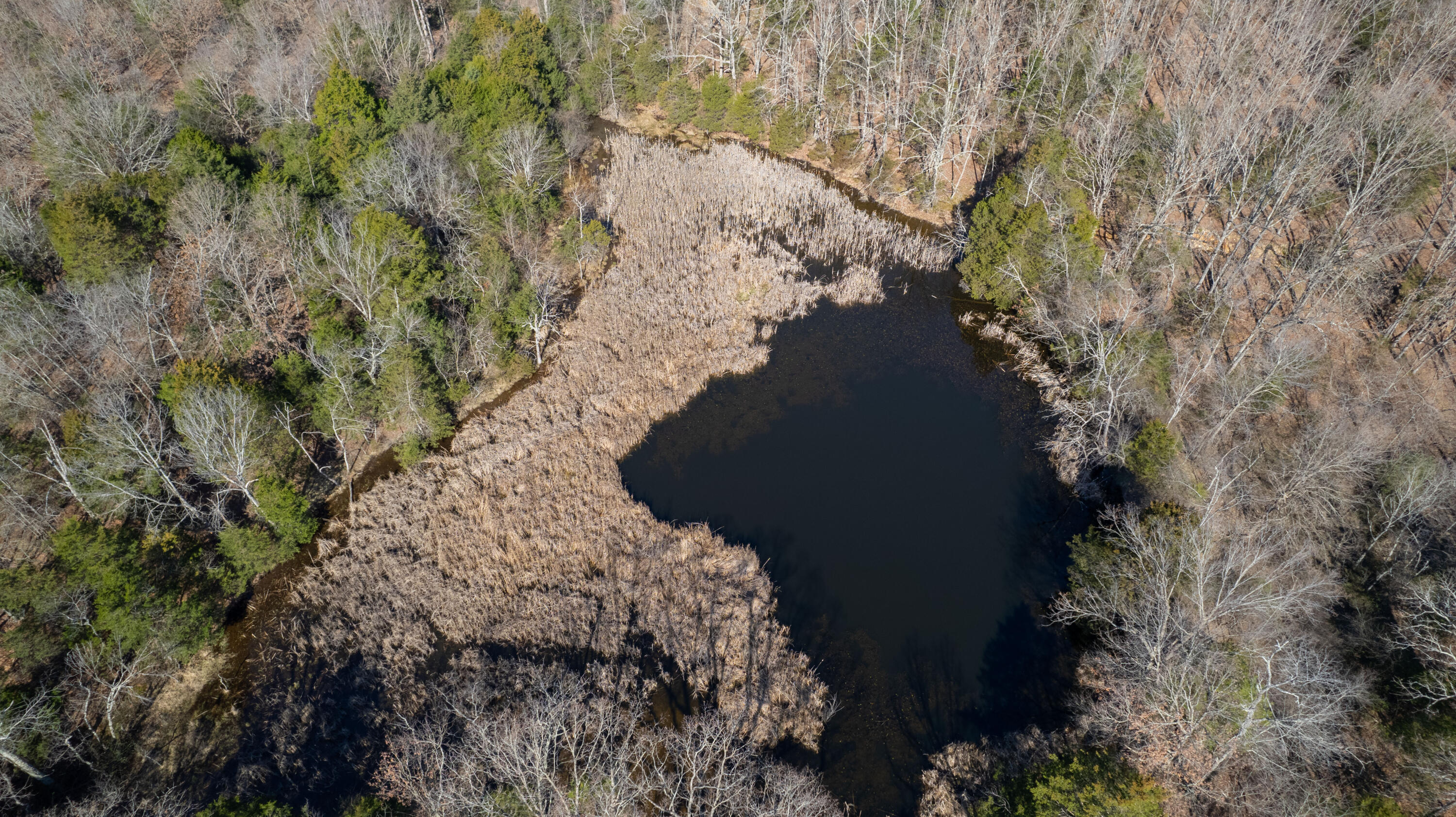 1 State Highway 38 Property Photo 9