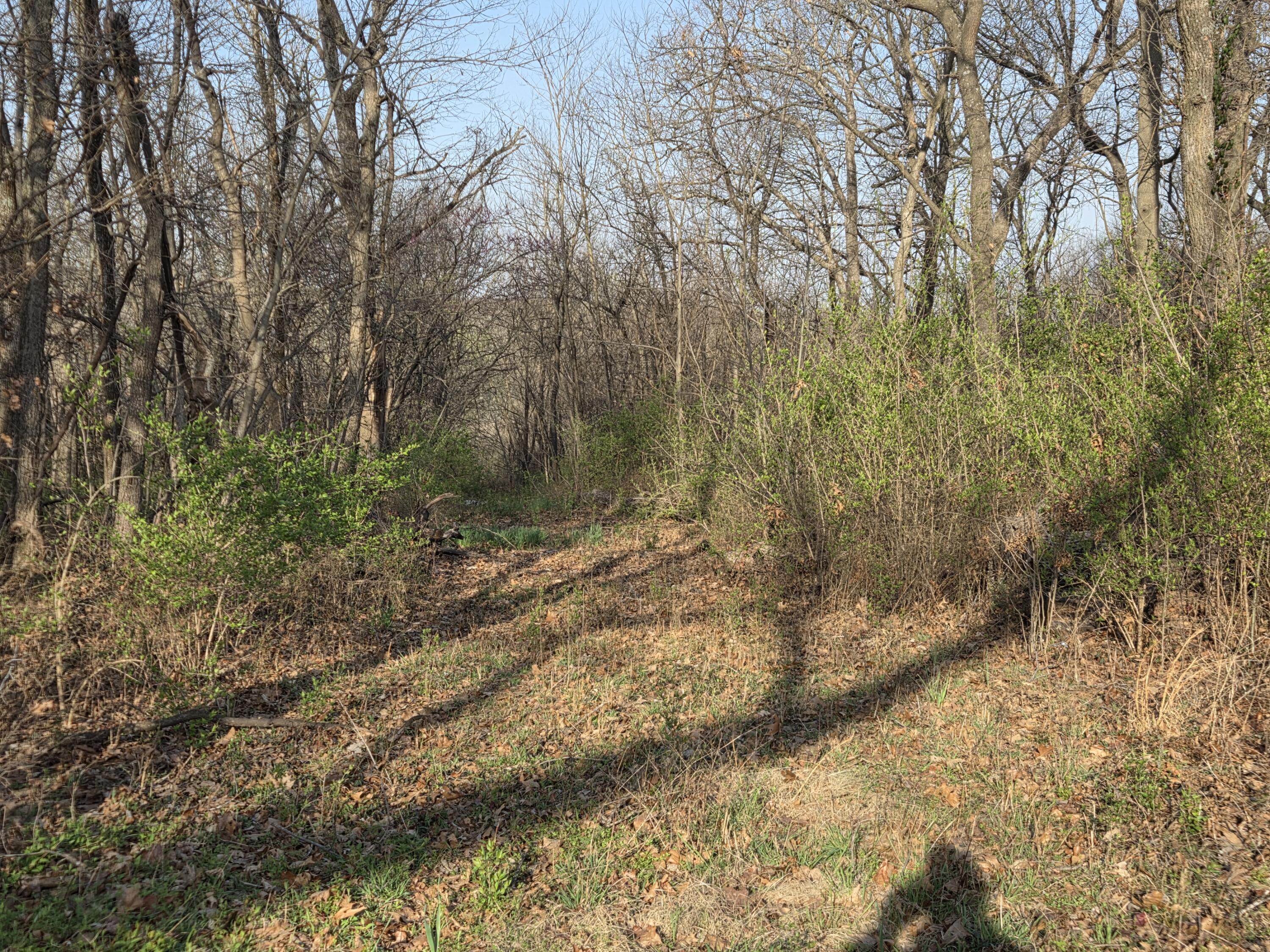 Tbd Pacific Highlands Property Photo 6