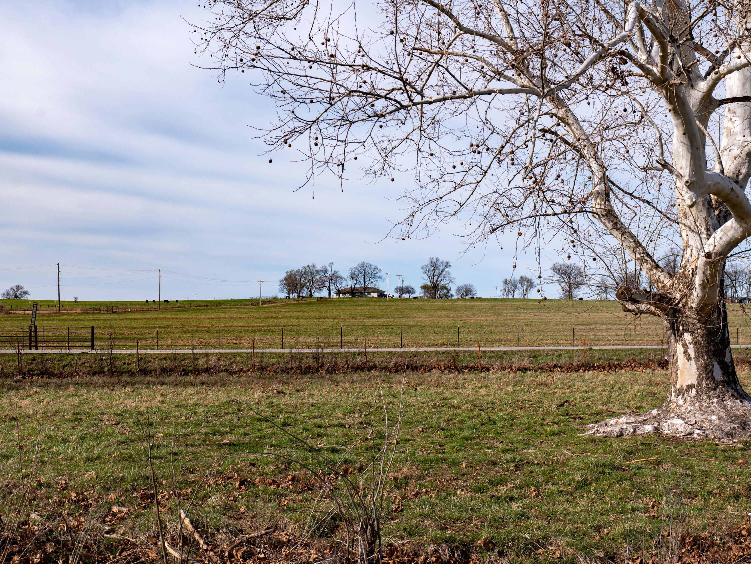 2765 Southeast 75 Road Property Photo 55