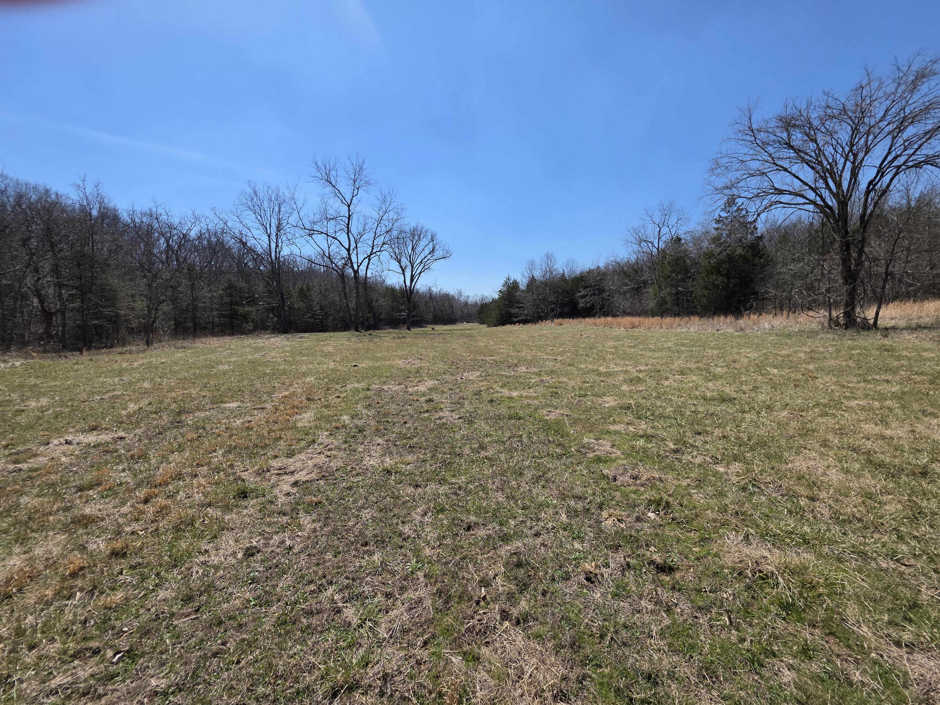 000 Boster Road Property Photo 11