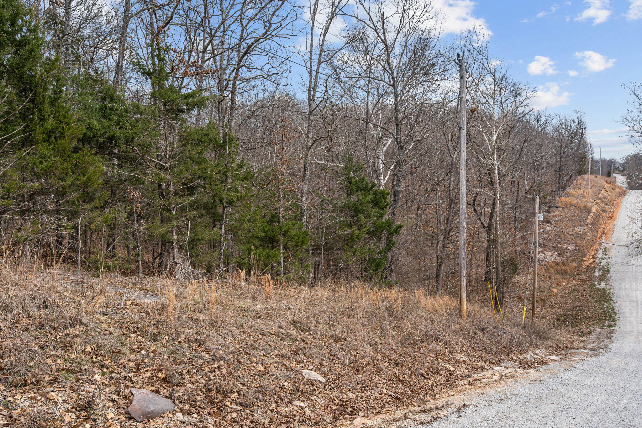 000 State Highway 86 Property Photo 15