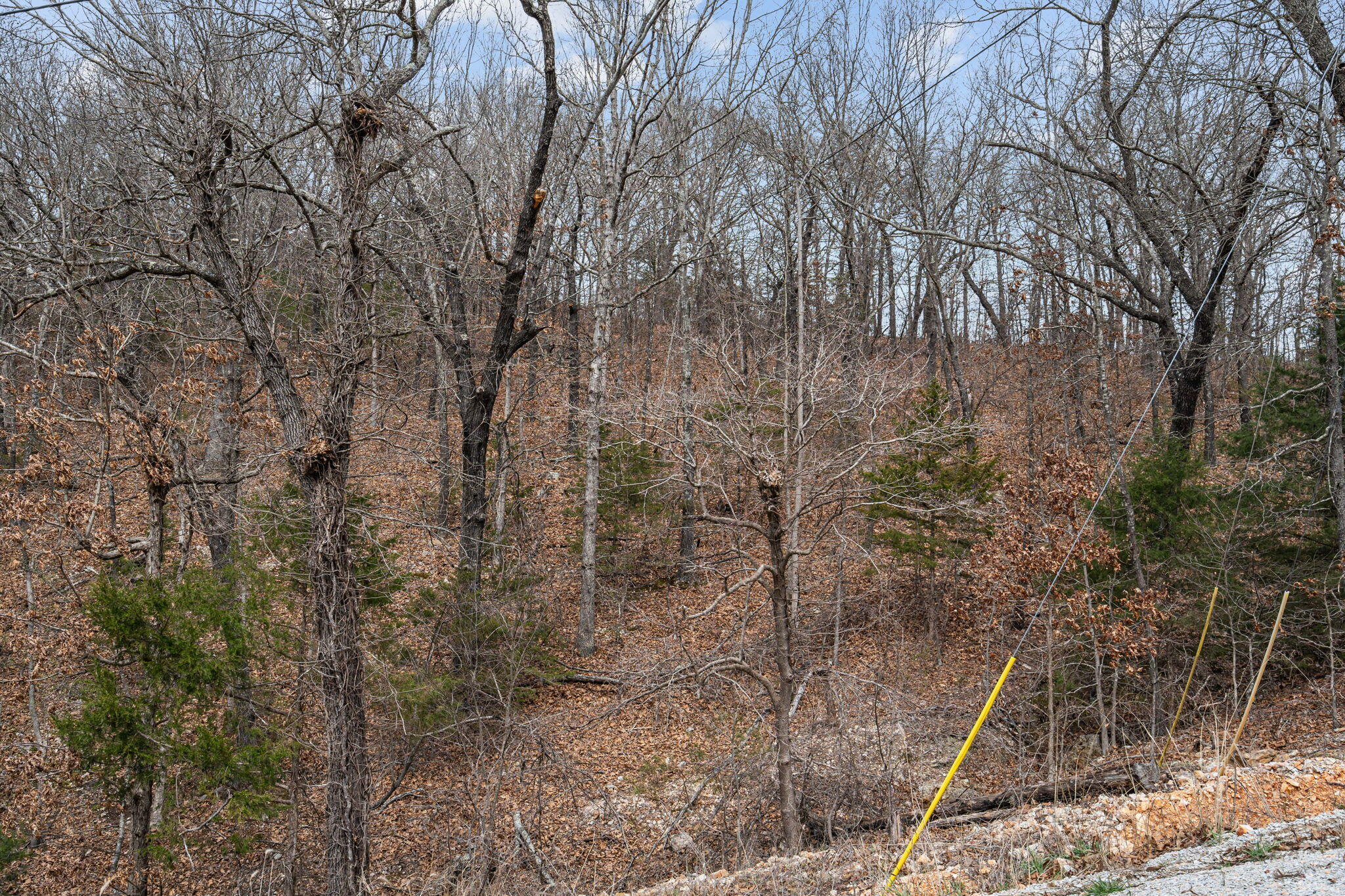 000 State Highway 86 Property Photo 17