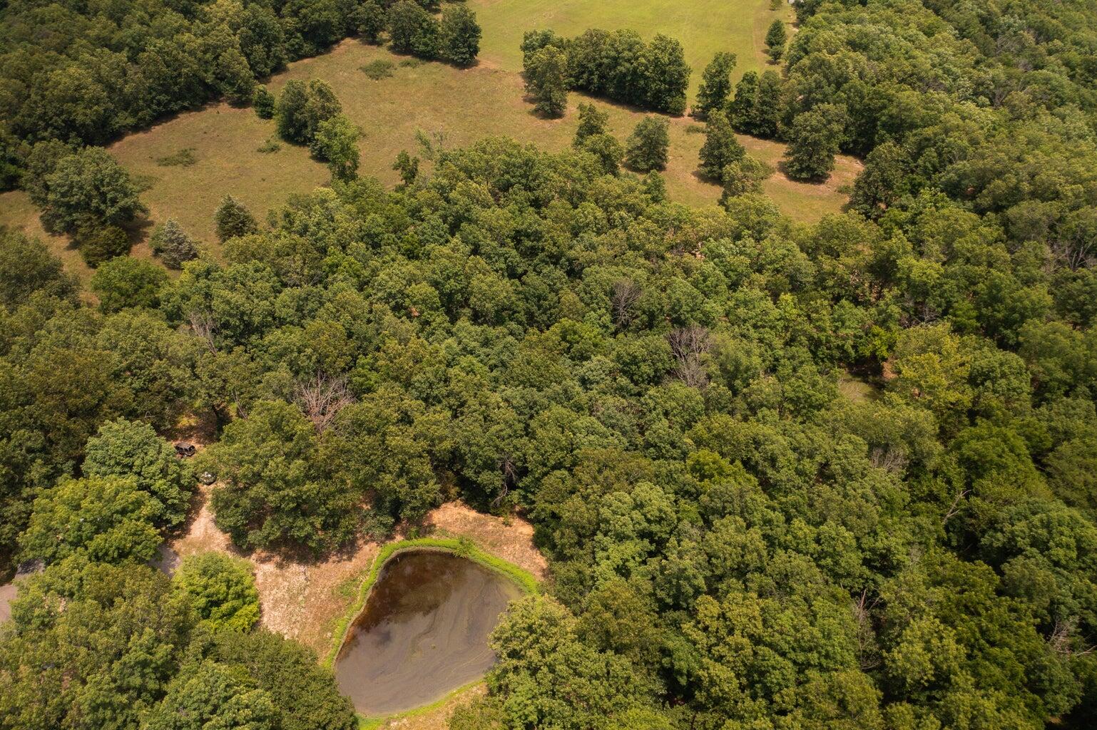 10477 Highway Am Property Photo 37