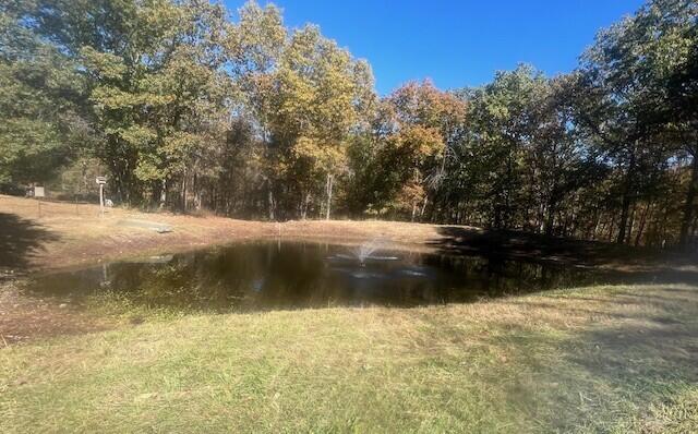 10477 Highway Am Property Photo 42