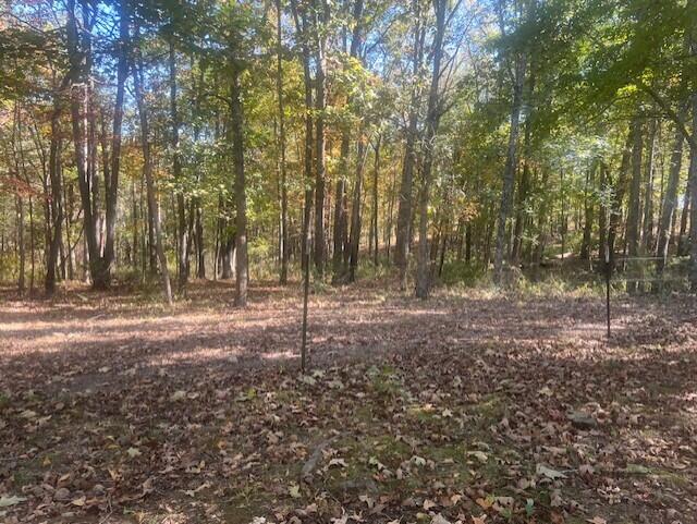 10477 Highway Am Property Photo 43