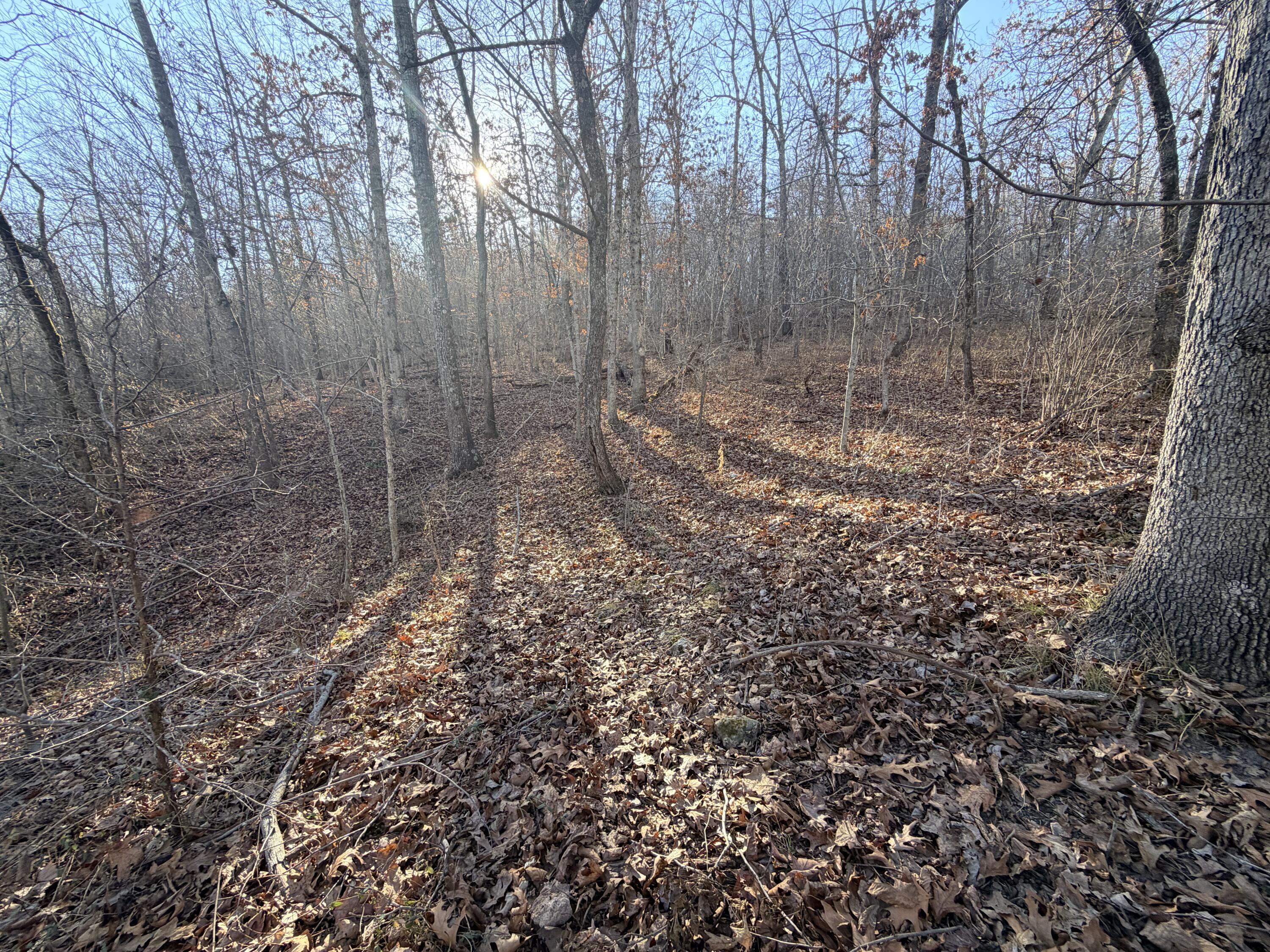 36ac Hagee Road Property Photo 4