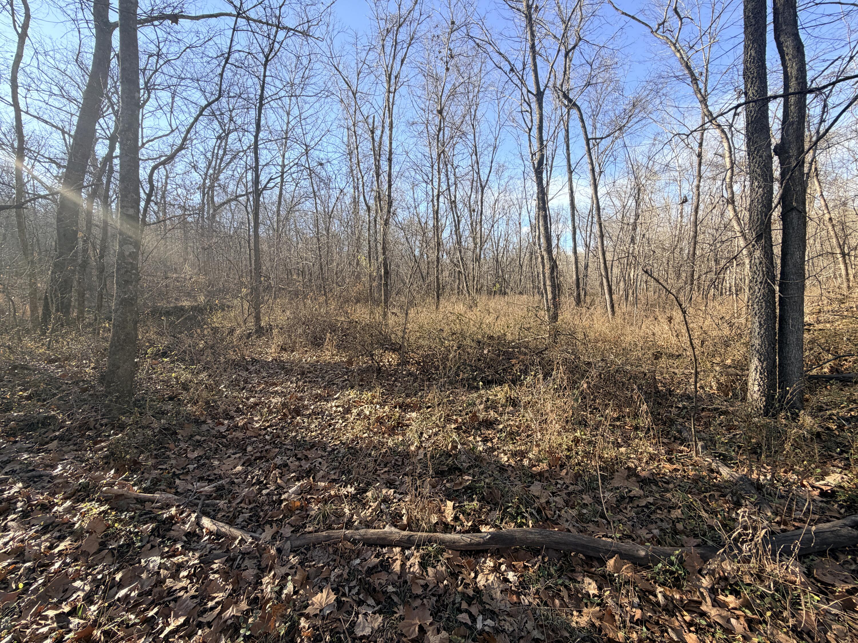 36ac Hagee Road Property Photo 8