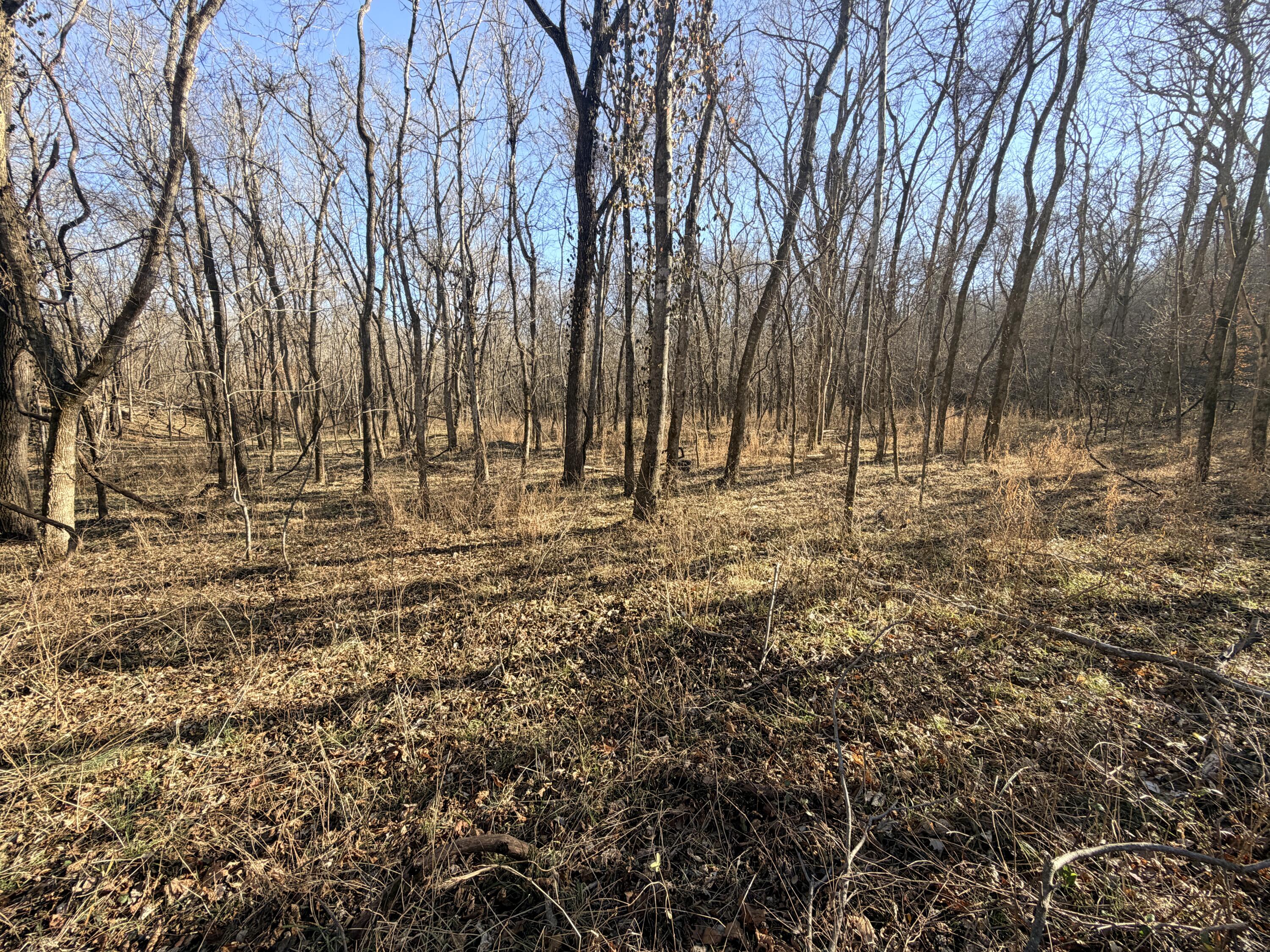 36ac Hagee Road Property Photo 11