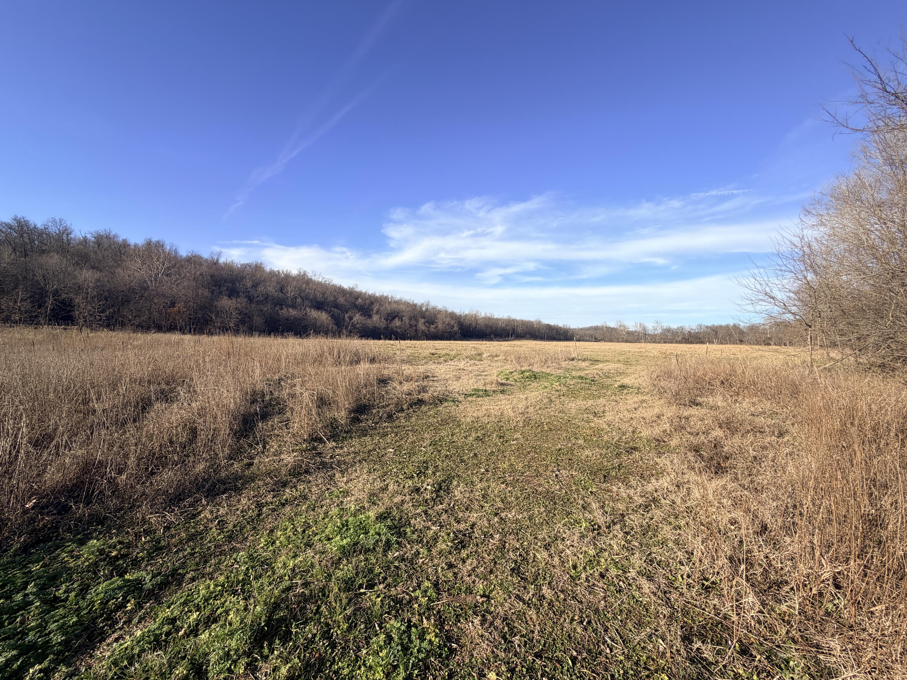 40ac Business 71 Highway Property Photo 5