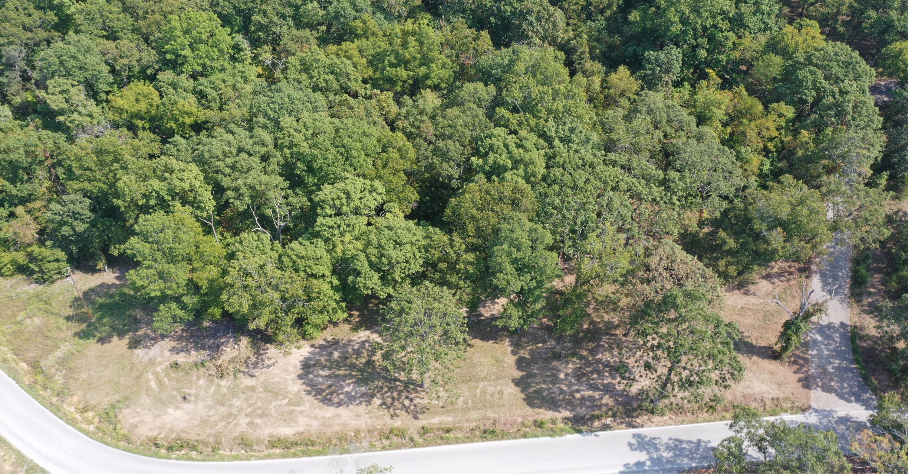 000 Black Oak Resort Lane Property Photo 4