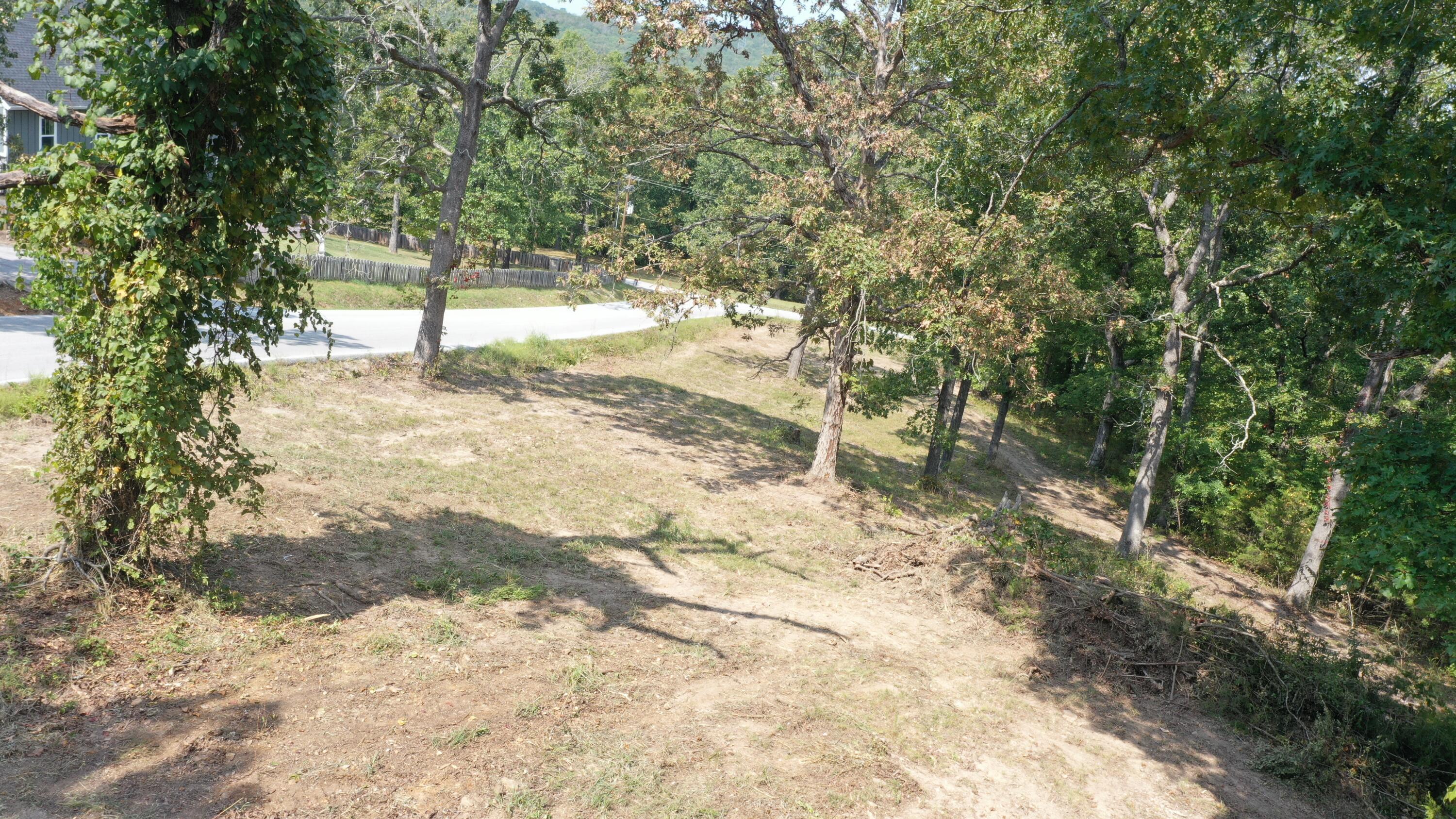 000 Black Oak Resort Lane Property Photo 6