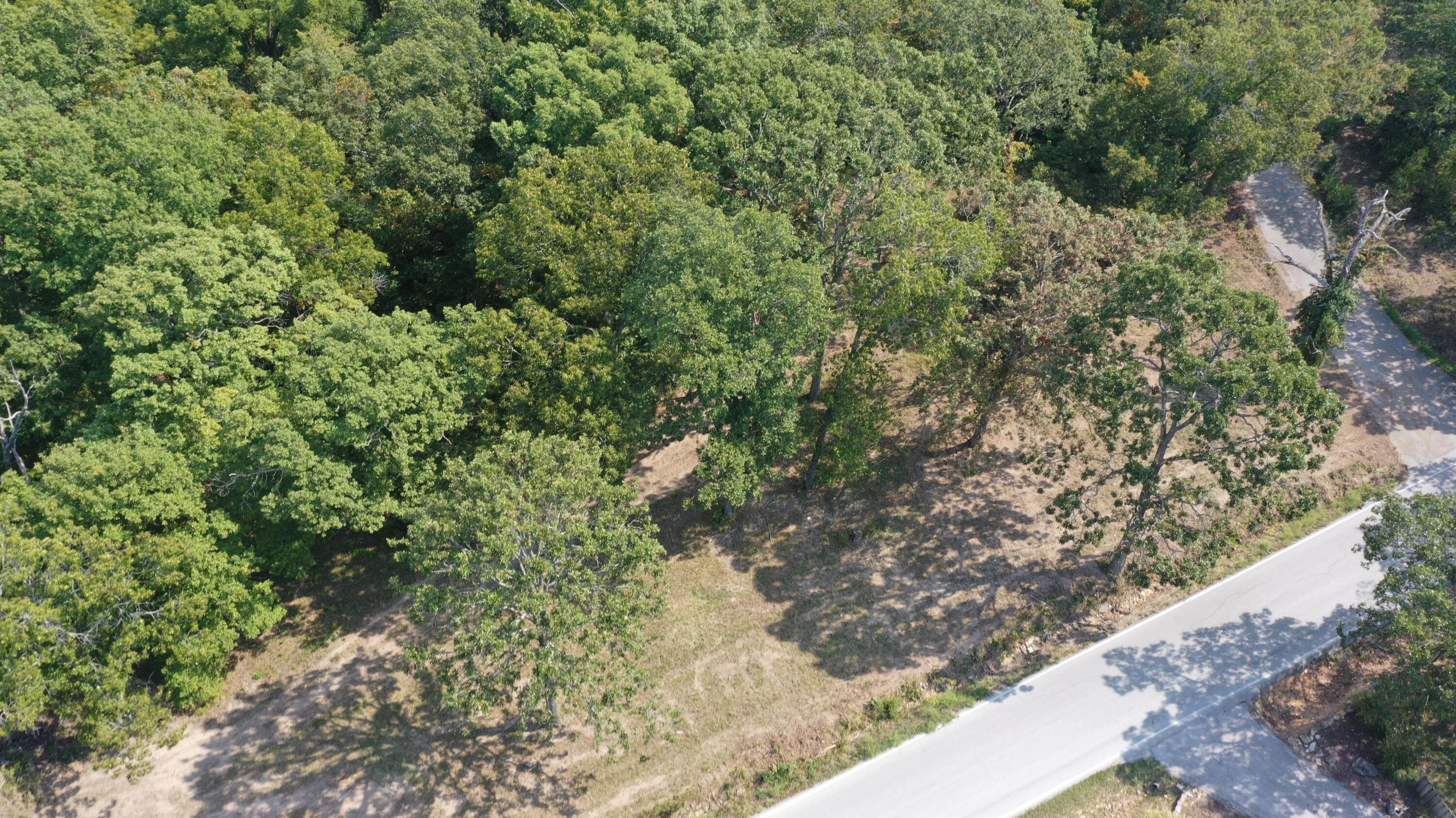 000 Black Oak Resort Lane Property Photo 8