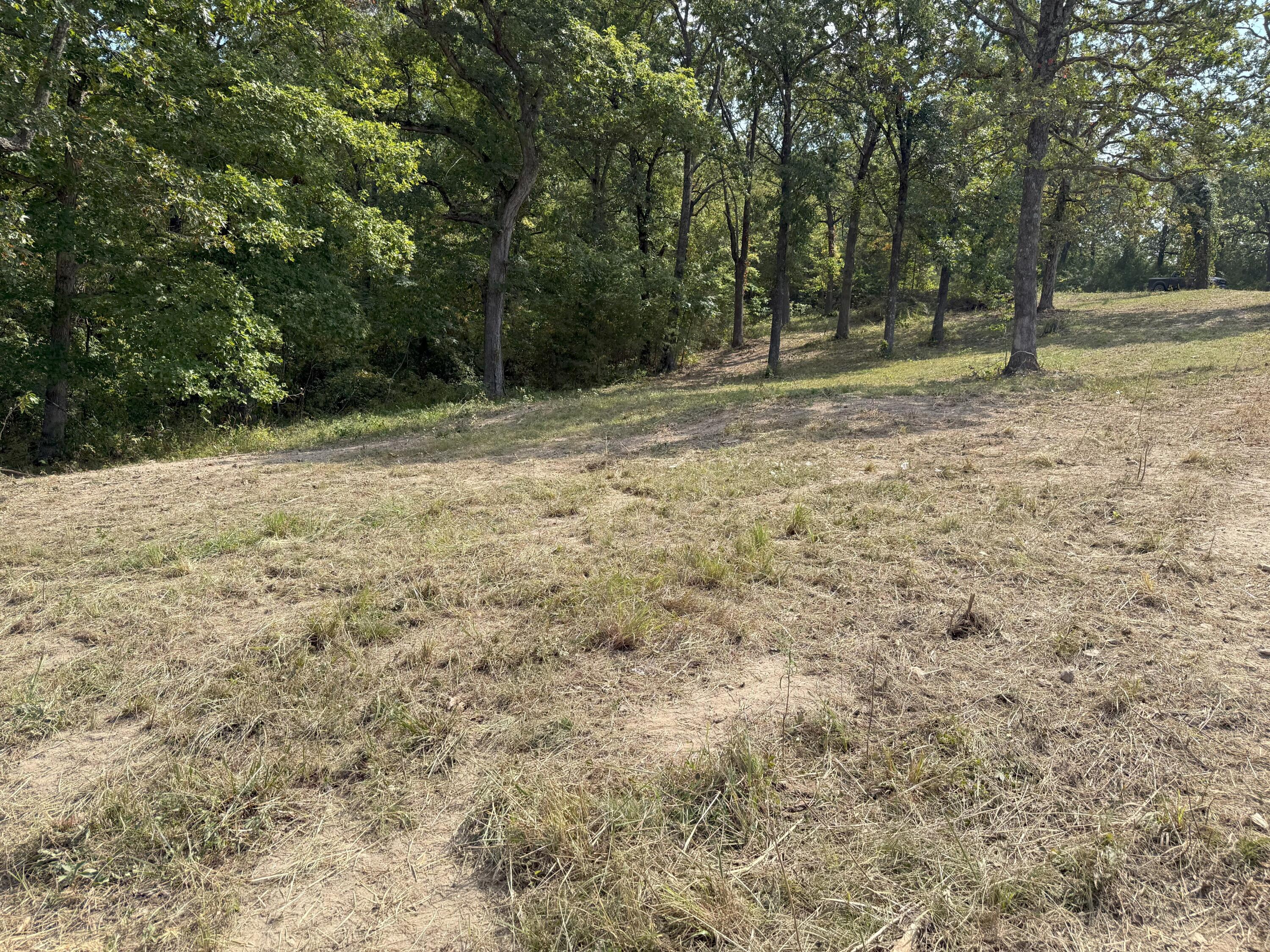 000 Black Oak Resort Lane Property Photo 12