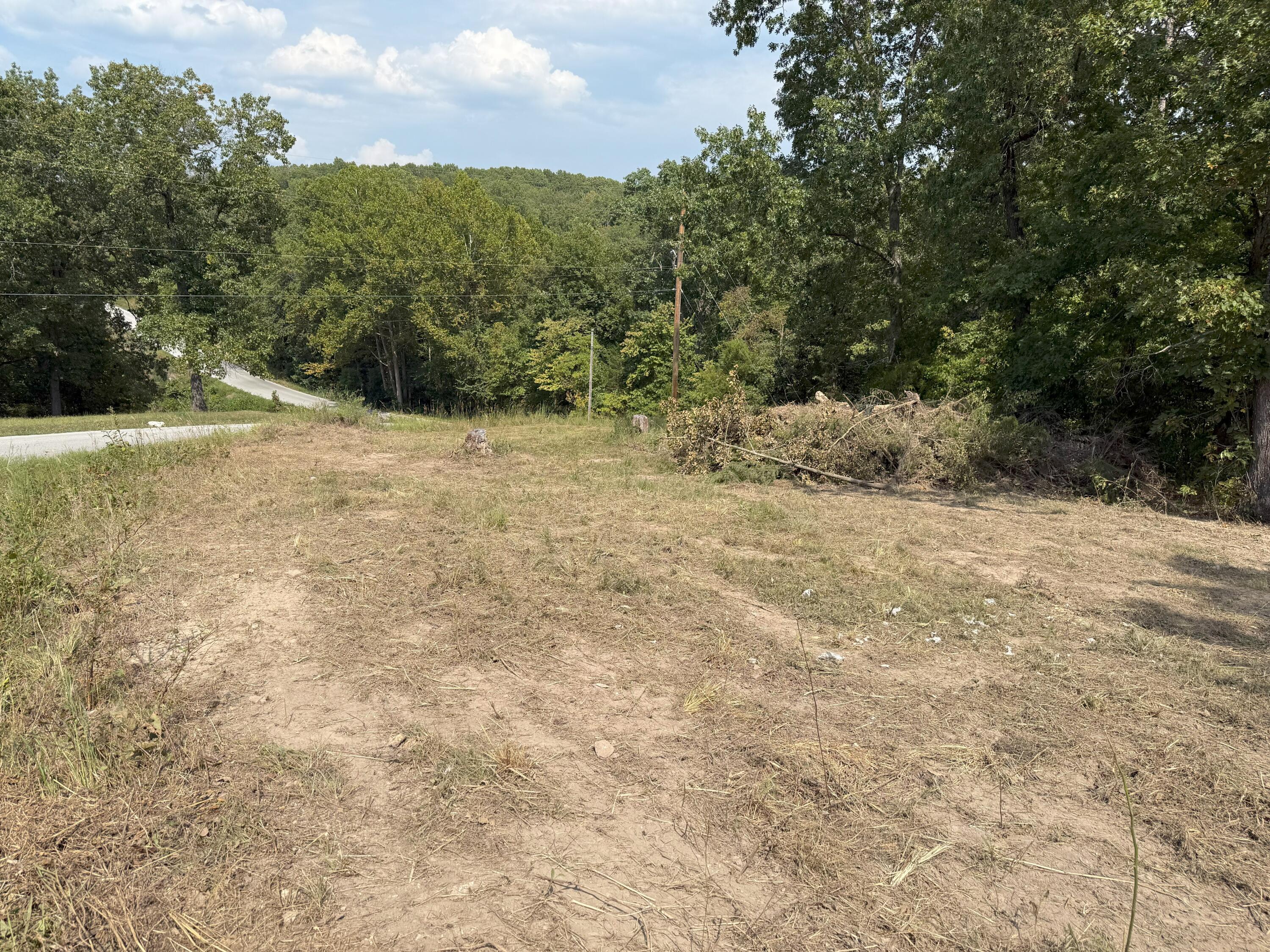 000 Black Oak Resort Lane Property Photo 14