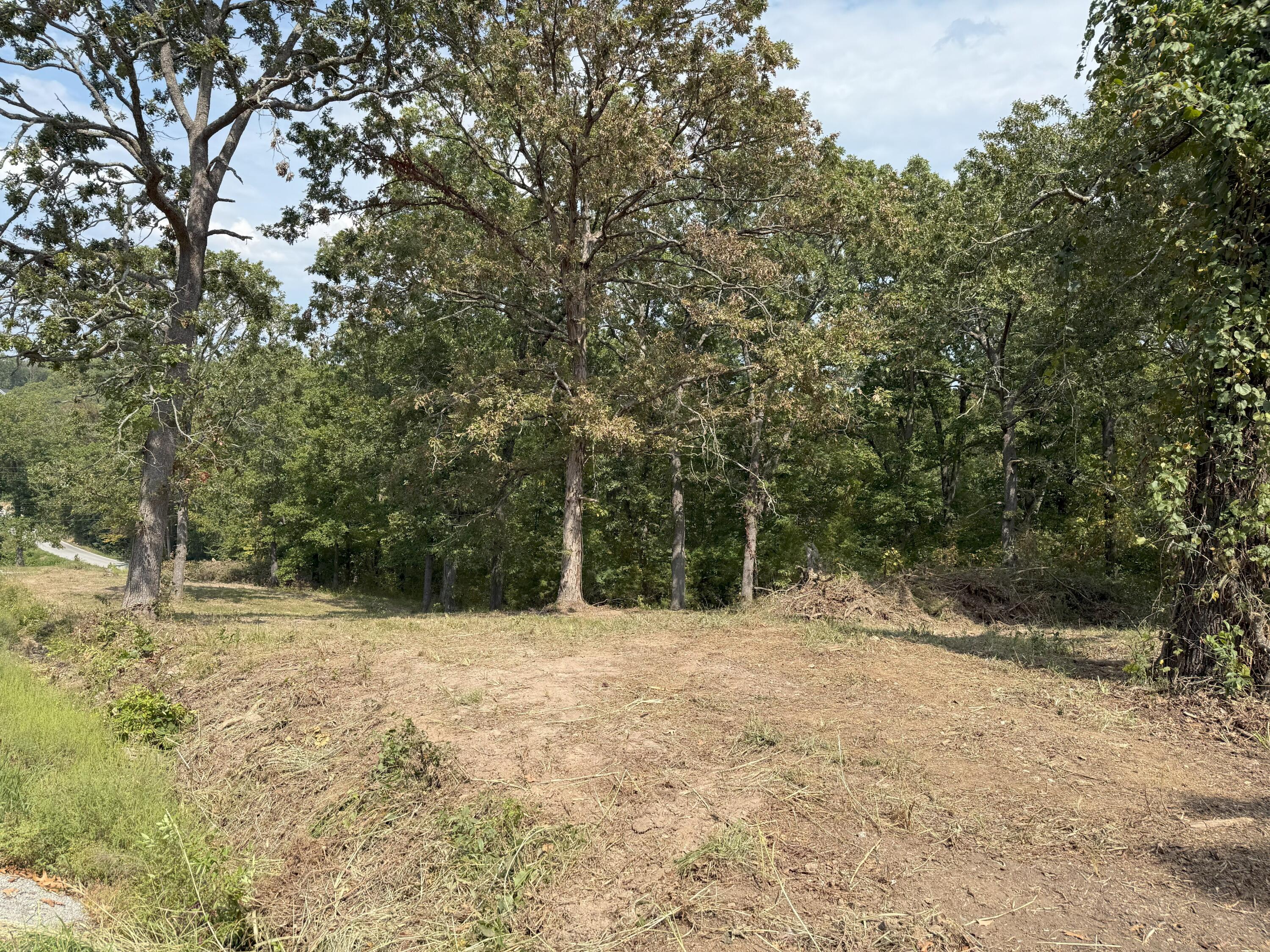 000 Black Oak Resort Lane Property Photo 15