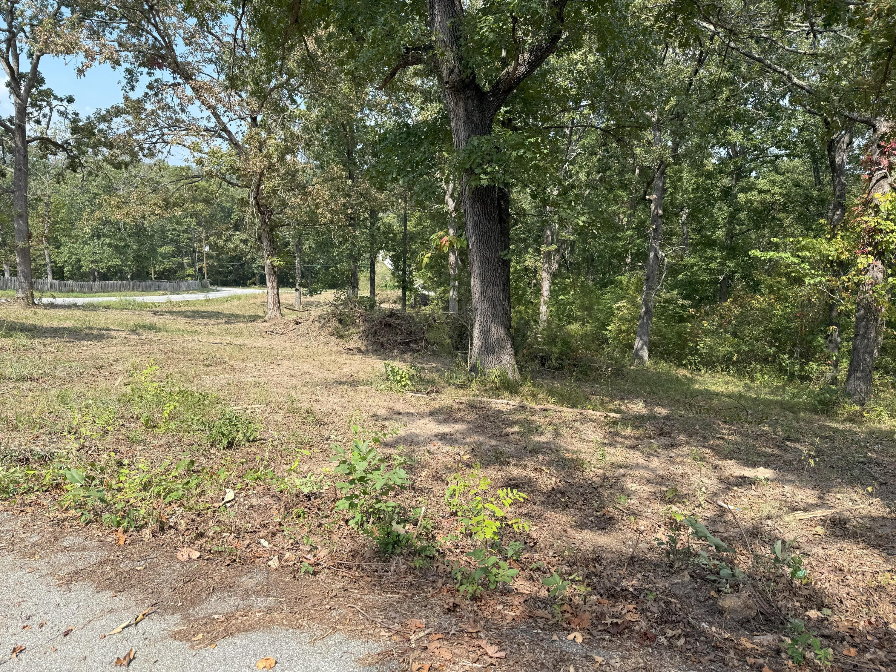 000 Black Oak Resort Lane Property Photo 17