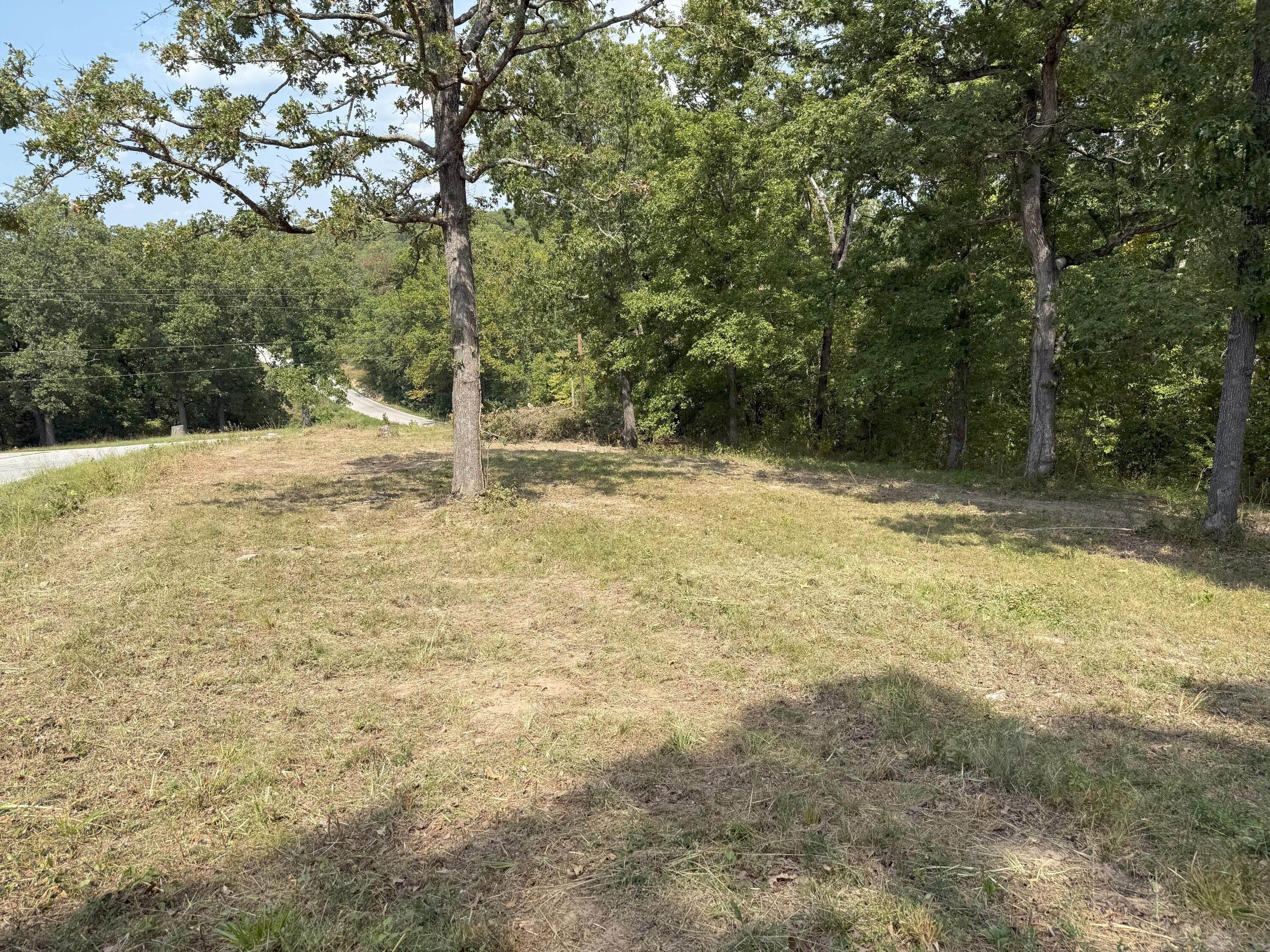 000 Black Oak Resort Lane Property Photo 18