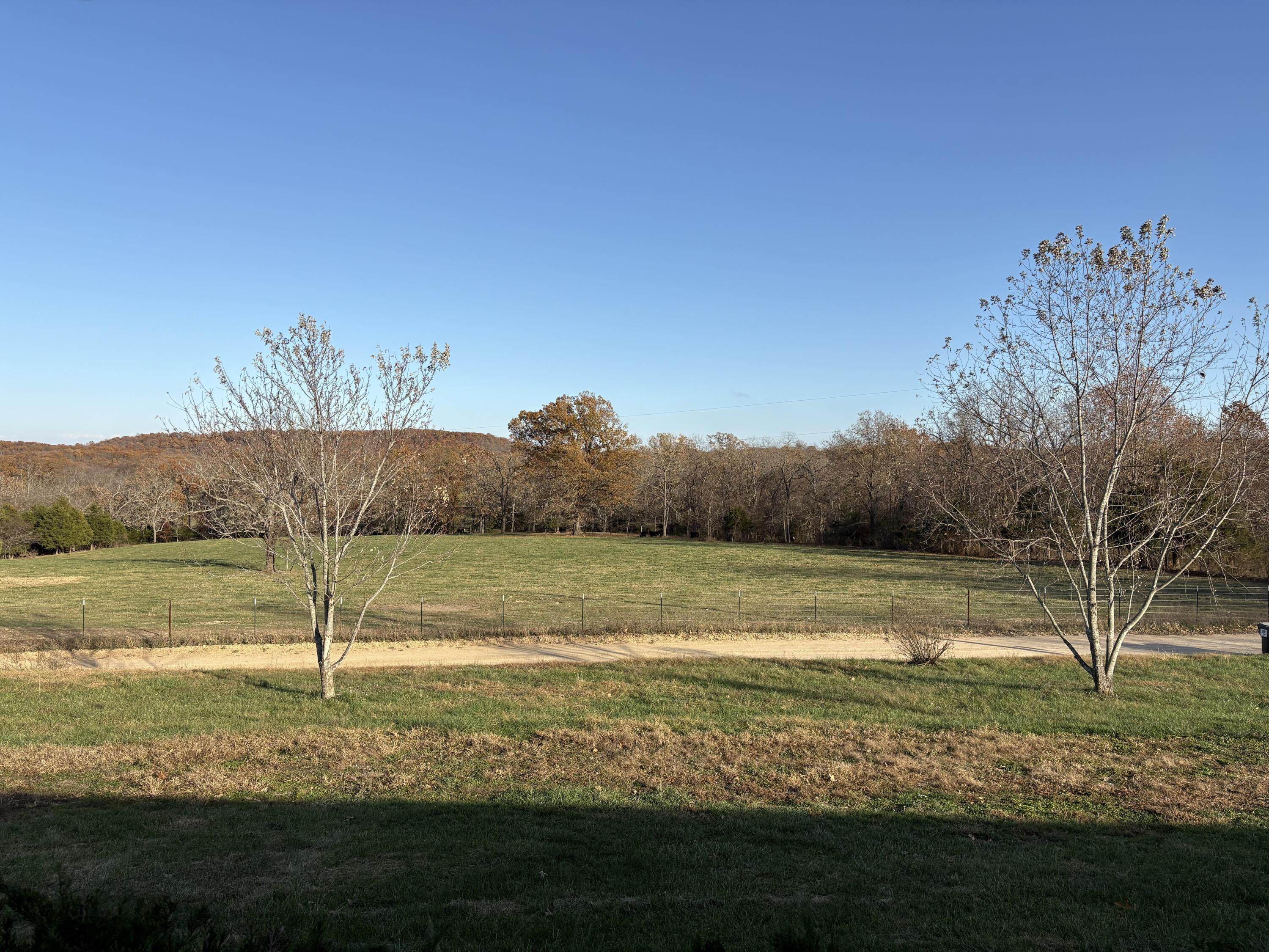 2179 Cantrell Road Property Photo 6