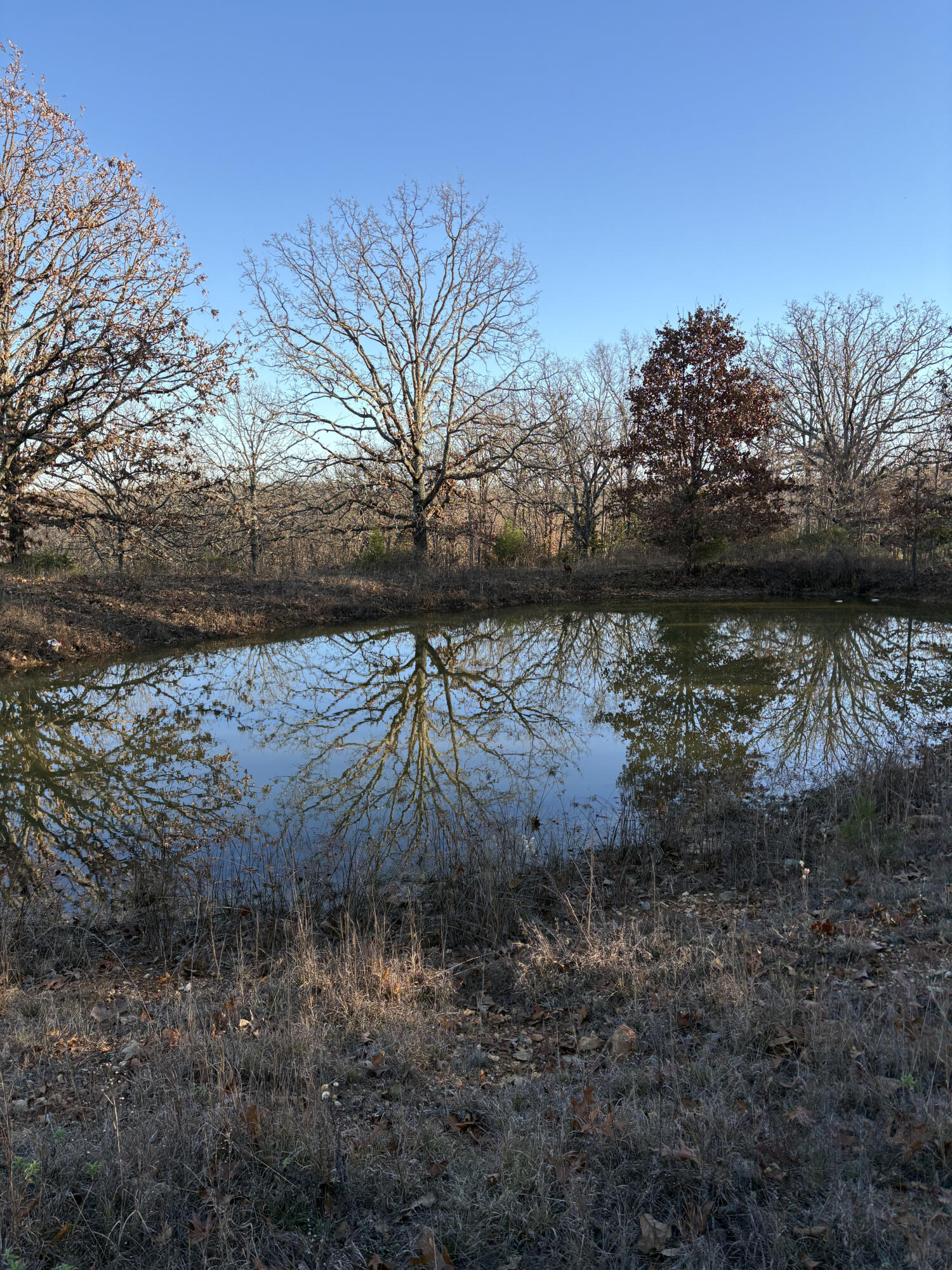 2179 Cantrell Road Property Photo 37