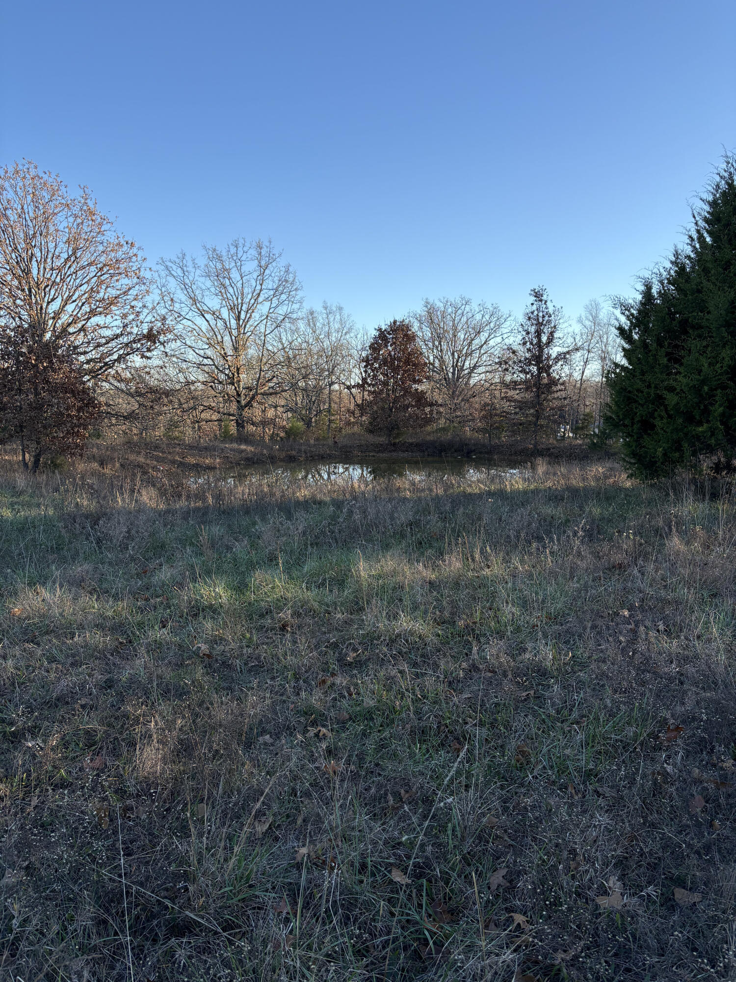 2179 Cantrell Road Property Photo 38