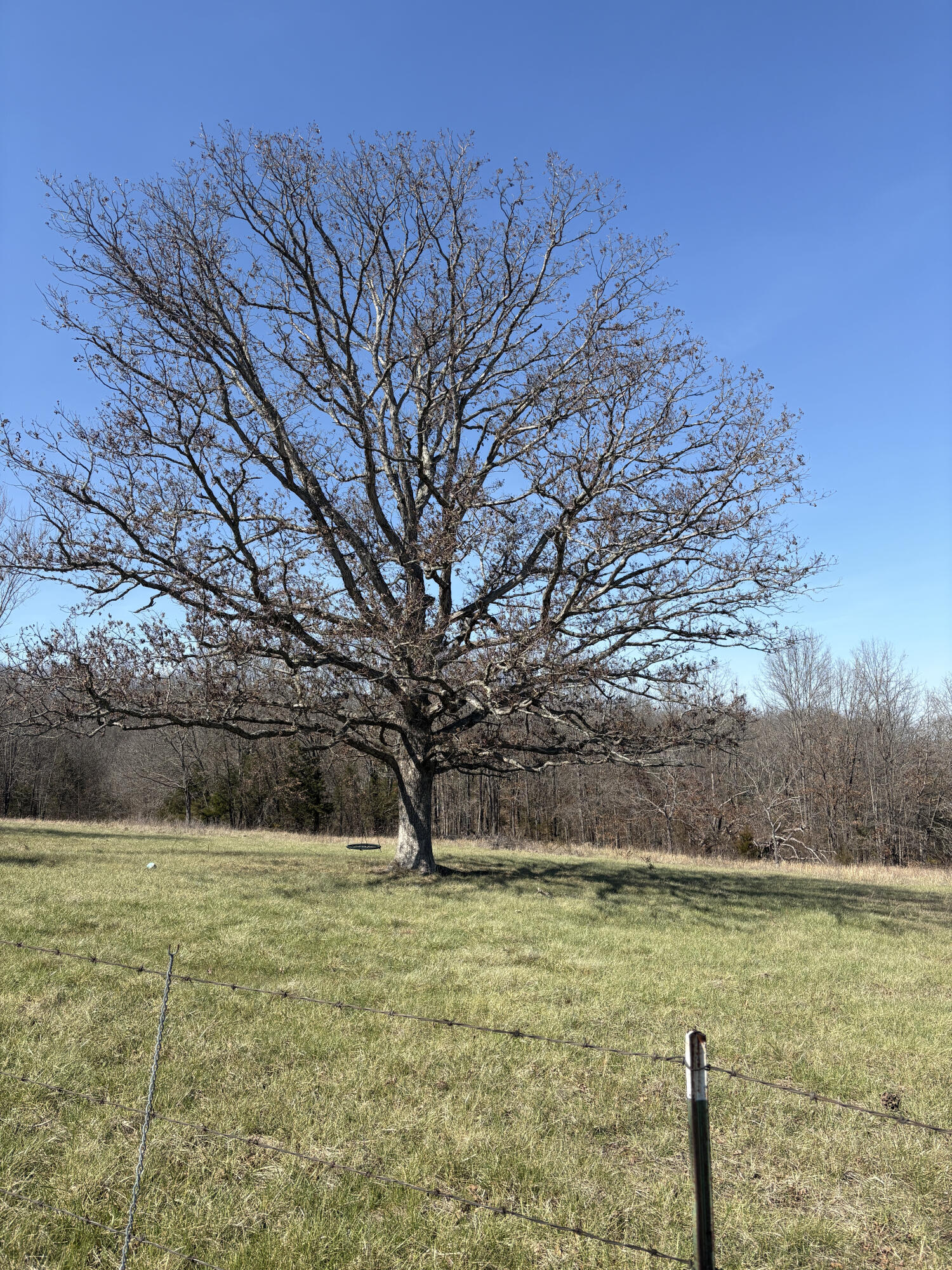 2179 Cantrell Road Property Photo 39