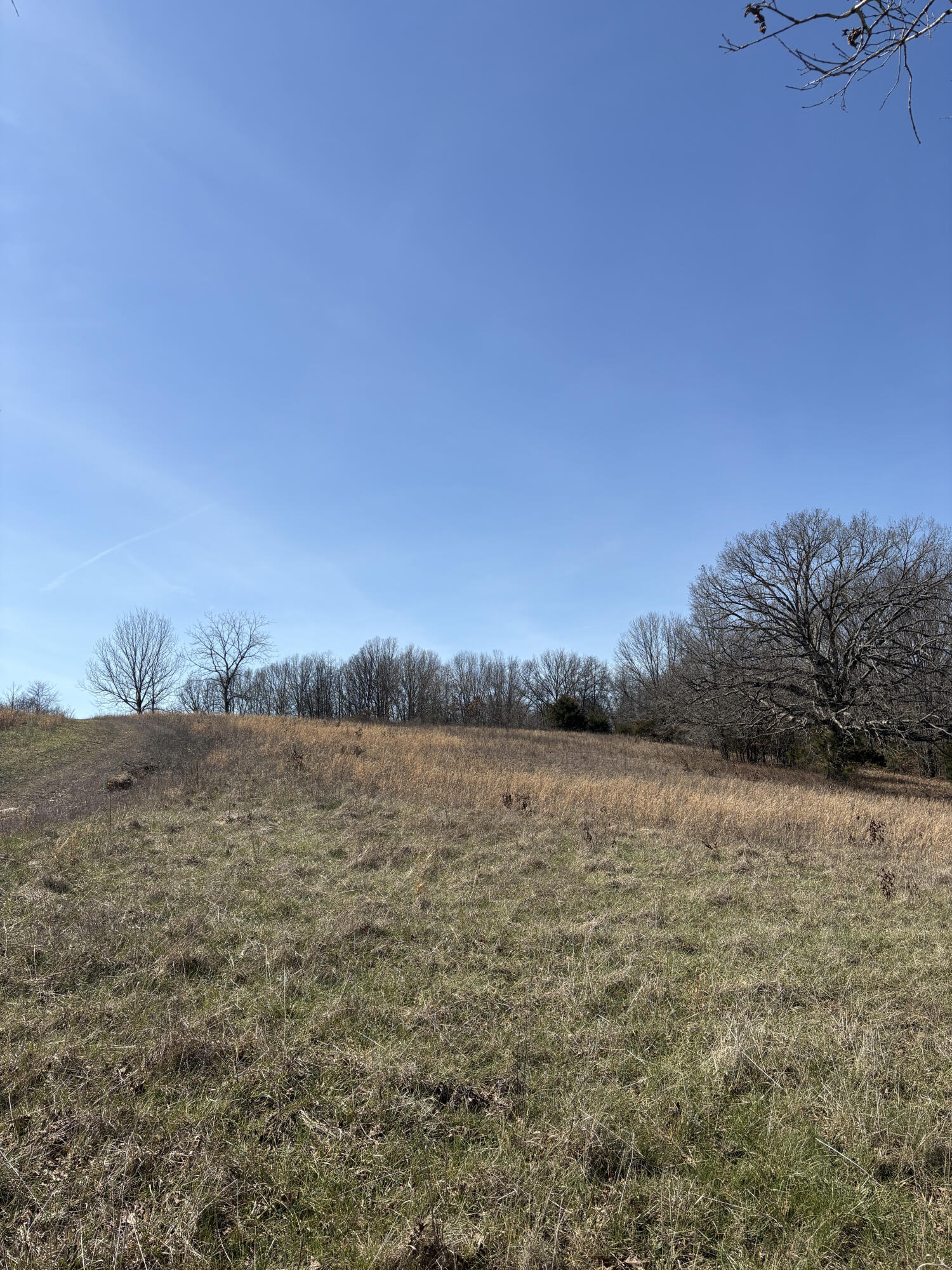 2179 Cantrell Road Property Photo 41