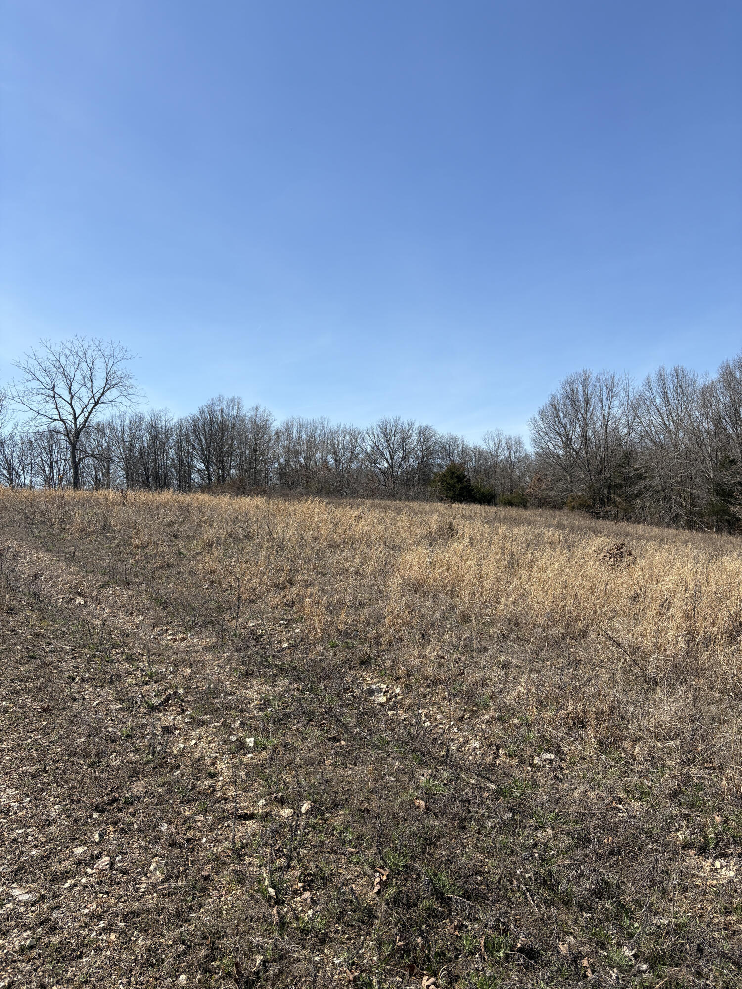 2179 Cantrell Road Property Photo 42