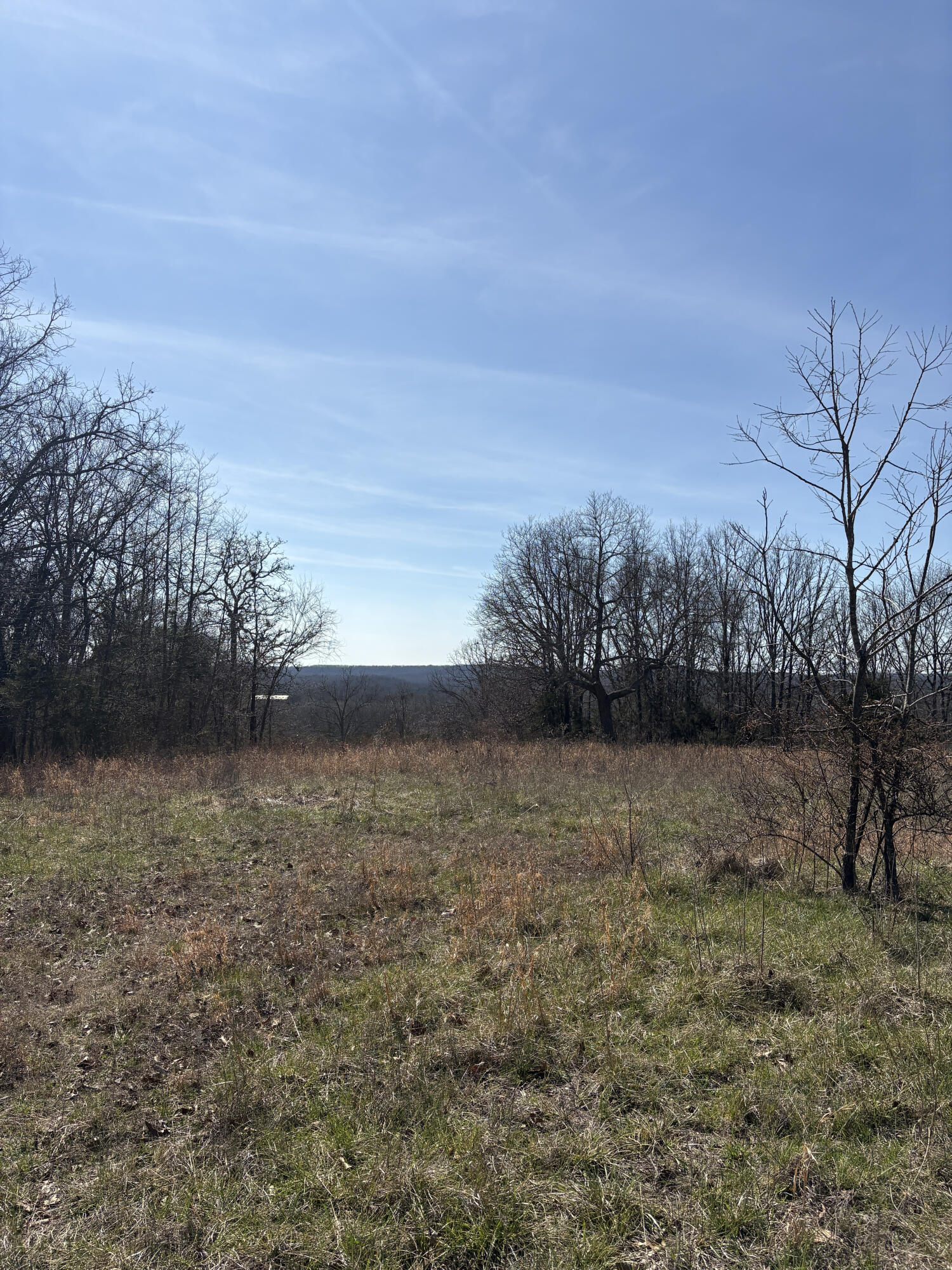 2179 Cantrell Road Property Photo 43