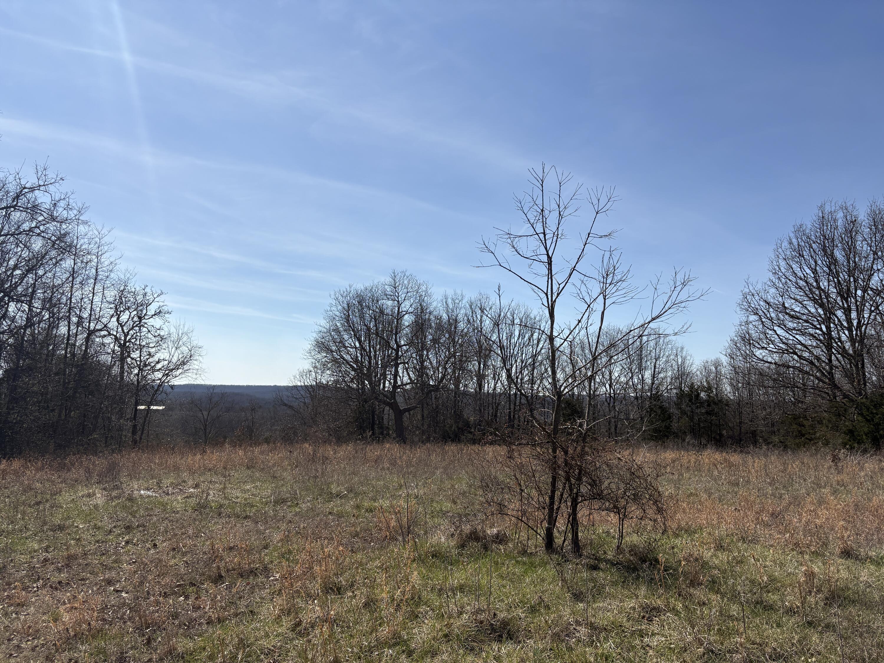 2179 Cantrell Road Property Photo 44