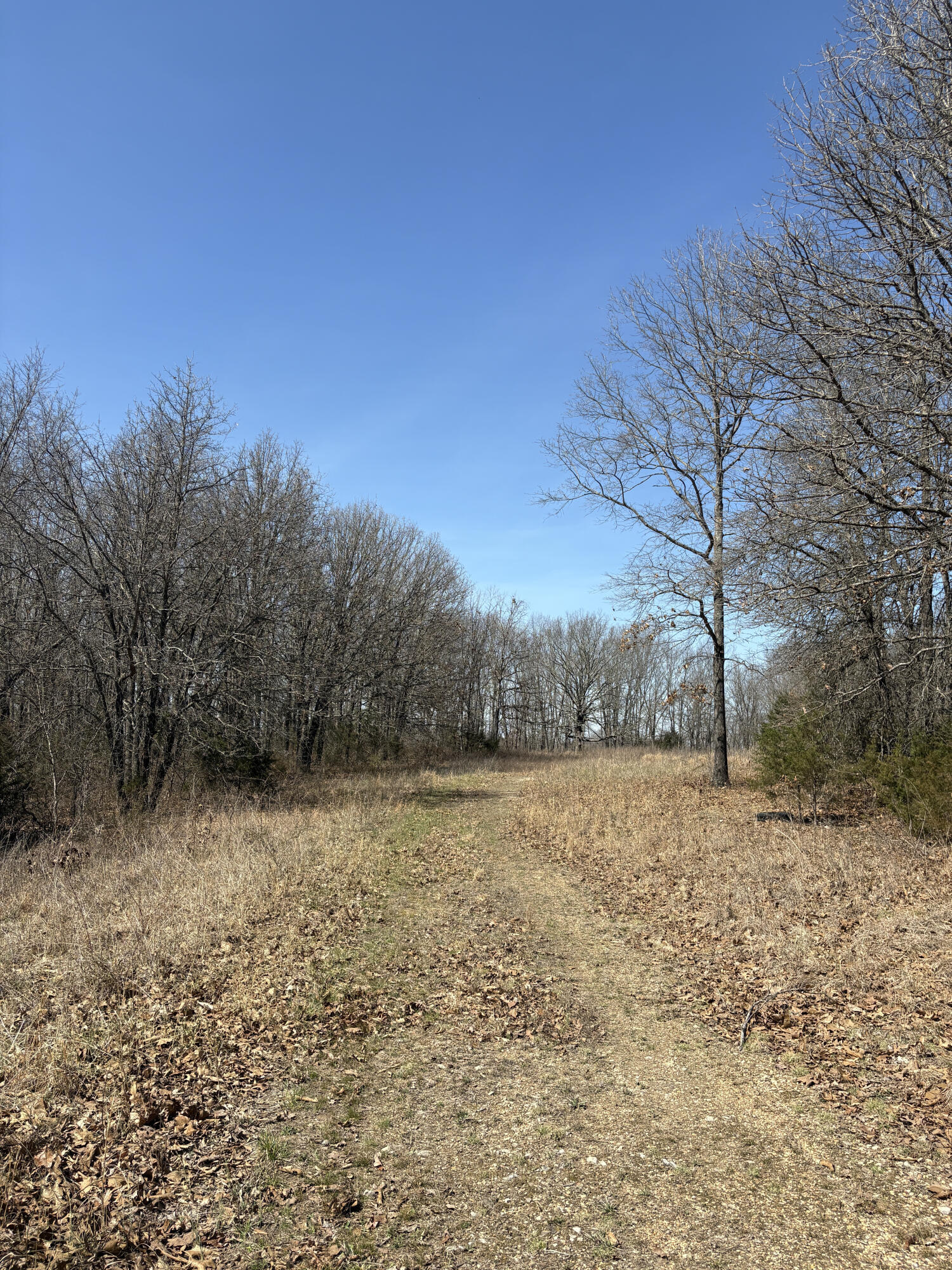 2179 Cantrell Road Property Photo 45