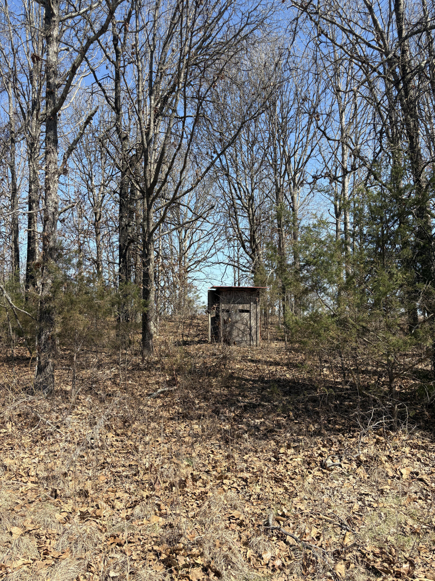 2179 Cantrell Road Property Photo 46