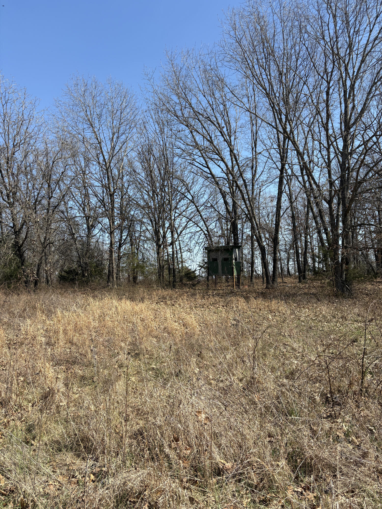 2179 Cantrell Road Property Photo 47