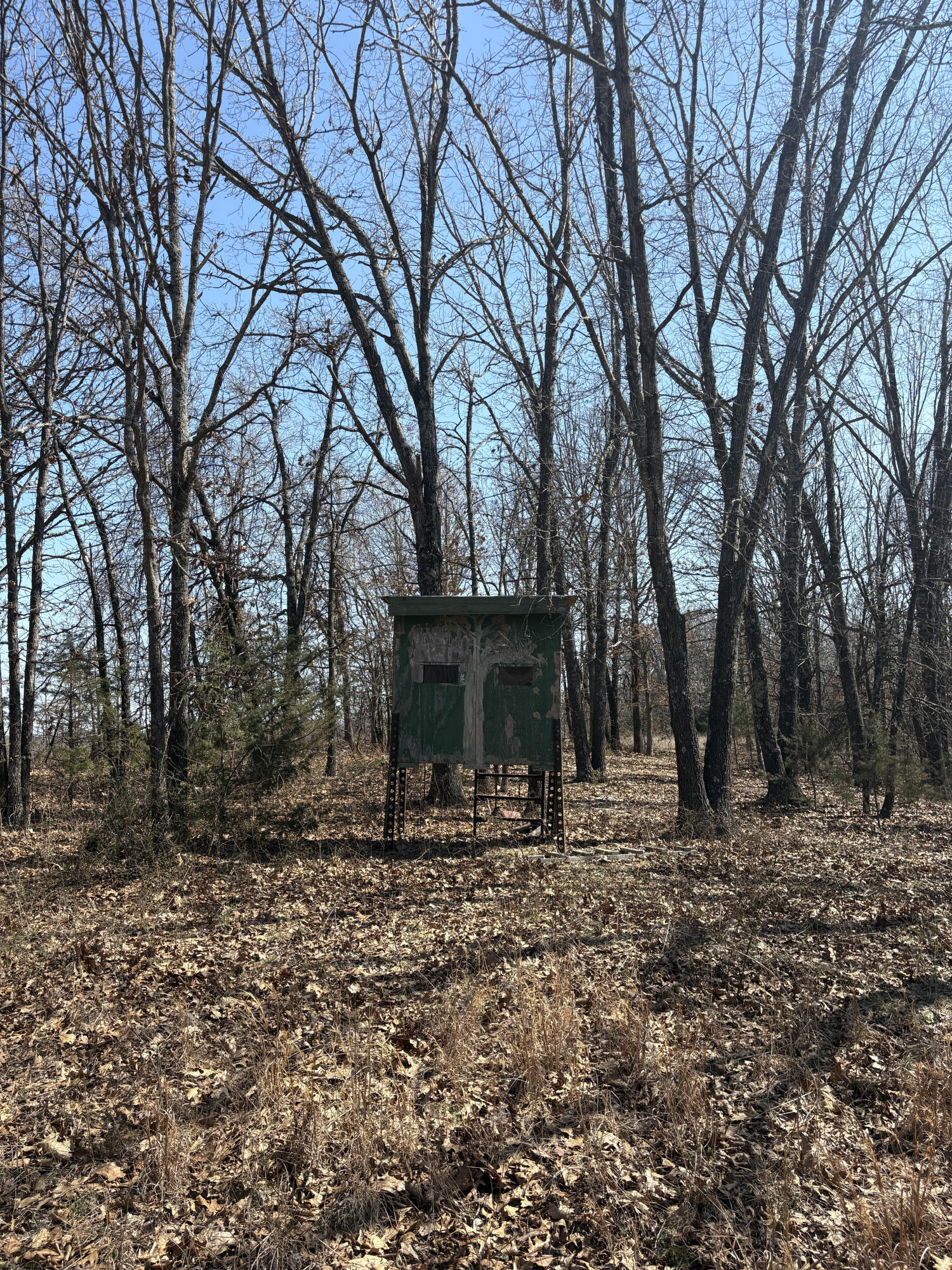 2179 Cantrell Road Property Photo 48