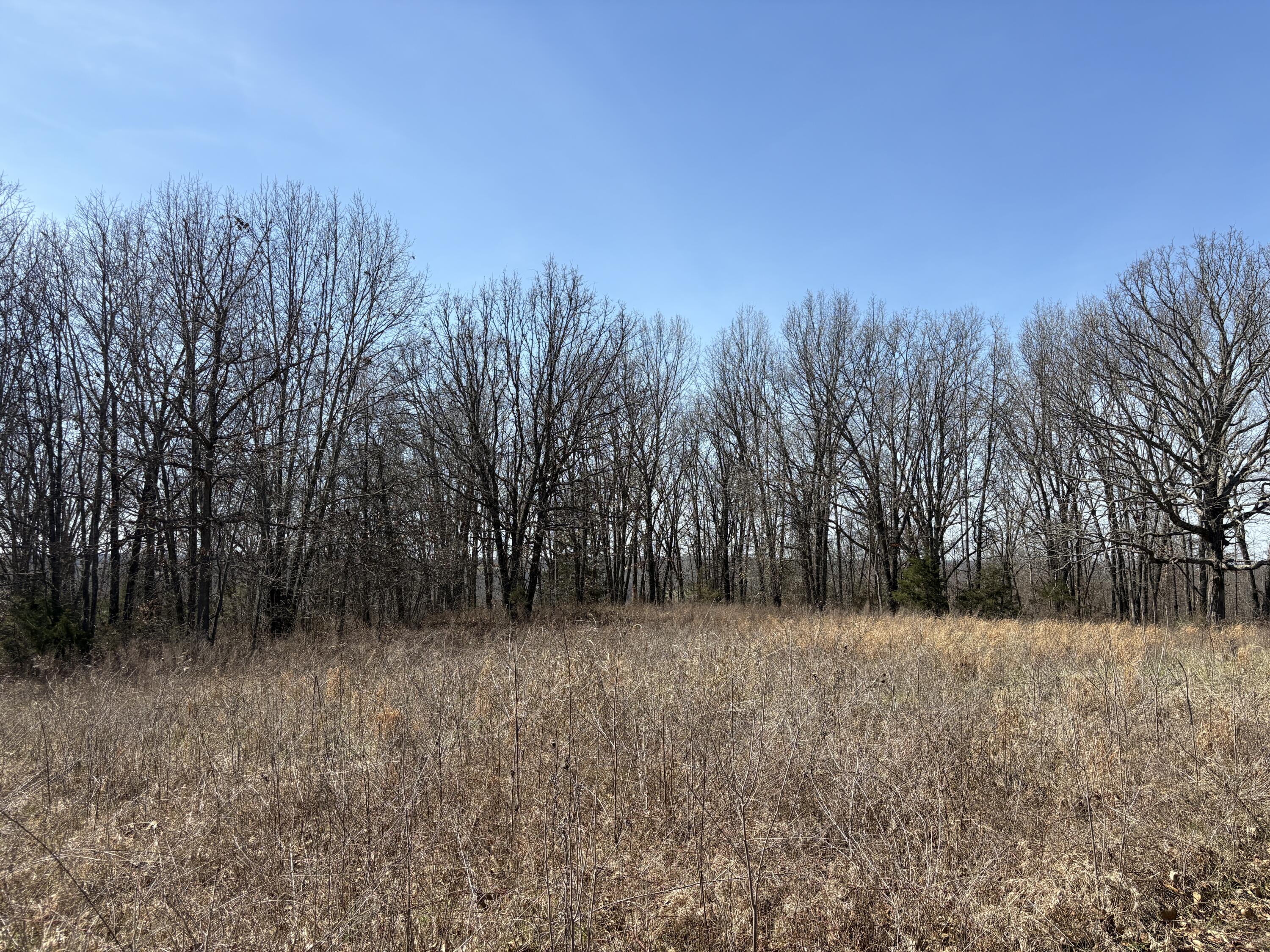 2179 Cantrell Road Property Photo 49