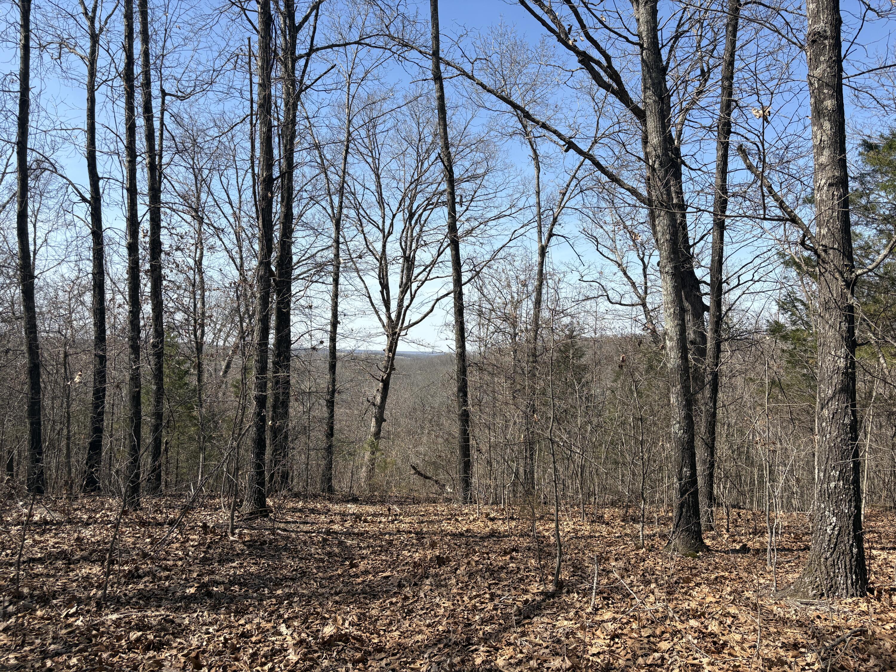 2179 Cantrell Road Property Photo 51